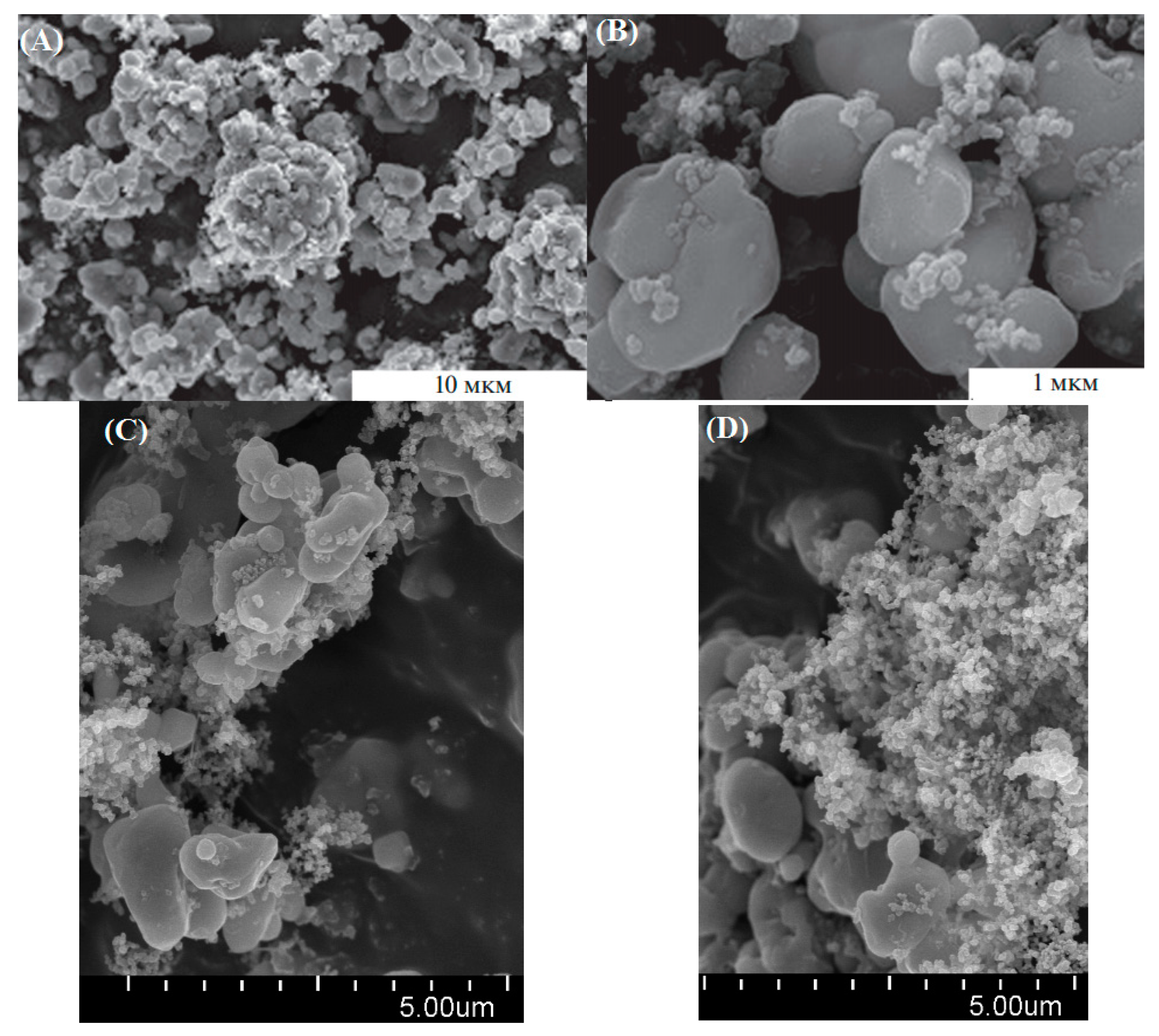 Micromachines 14 00241 g001