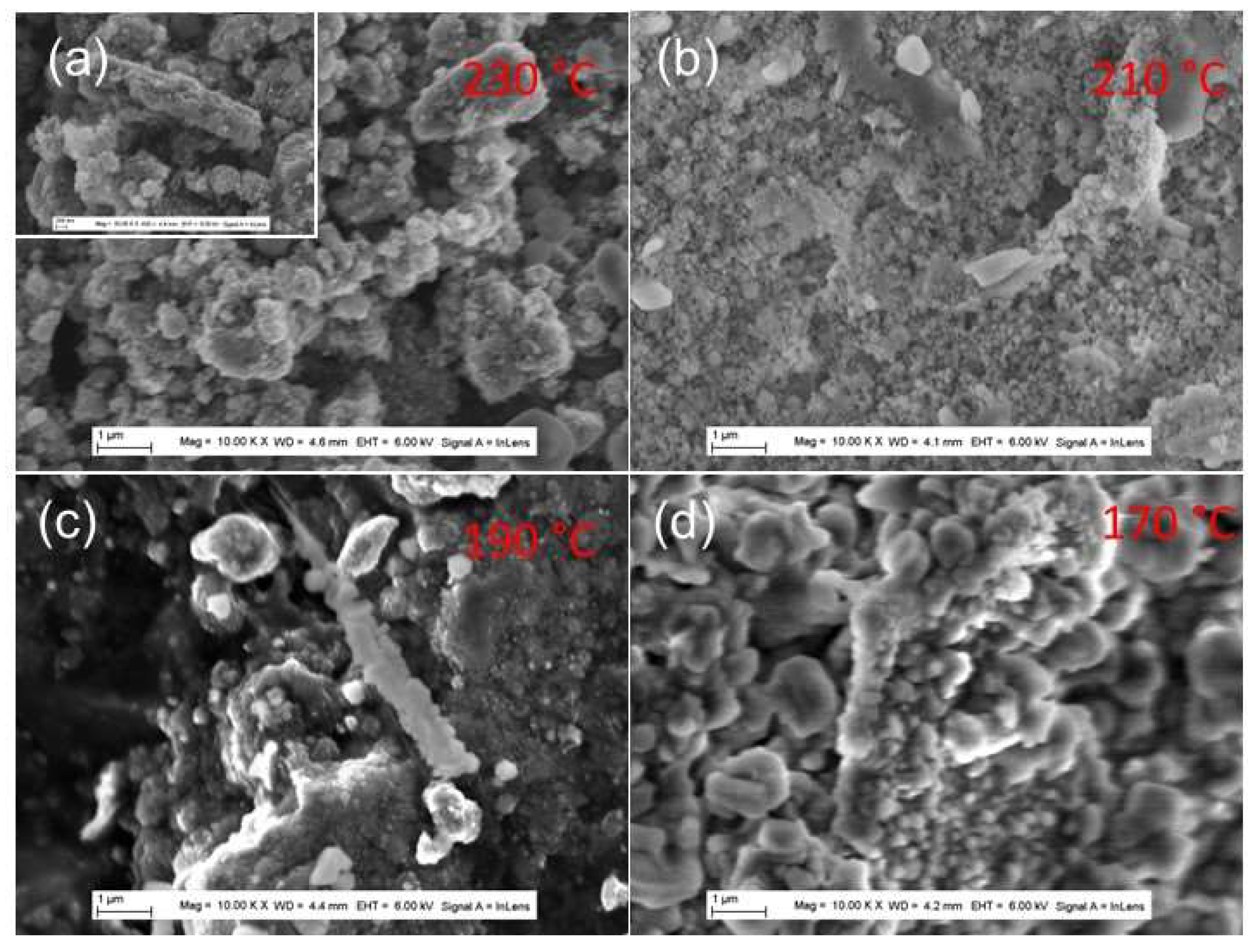 Micromachines 14 00243 g006