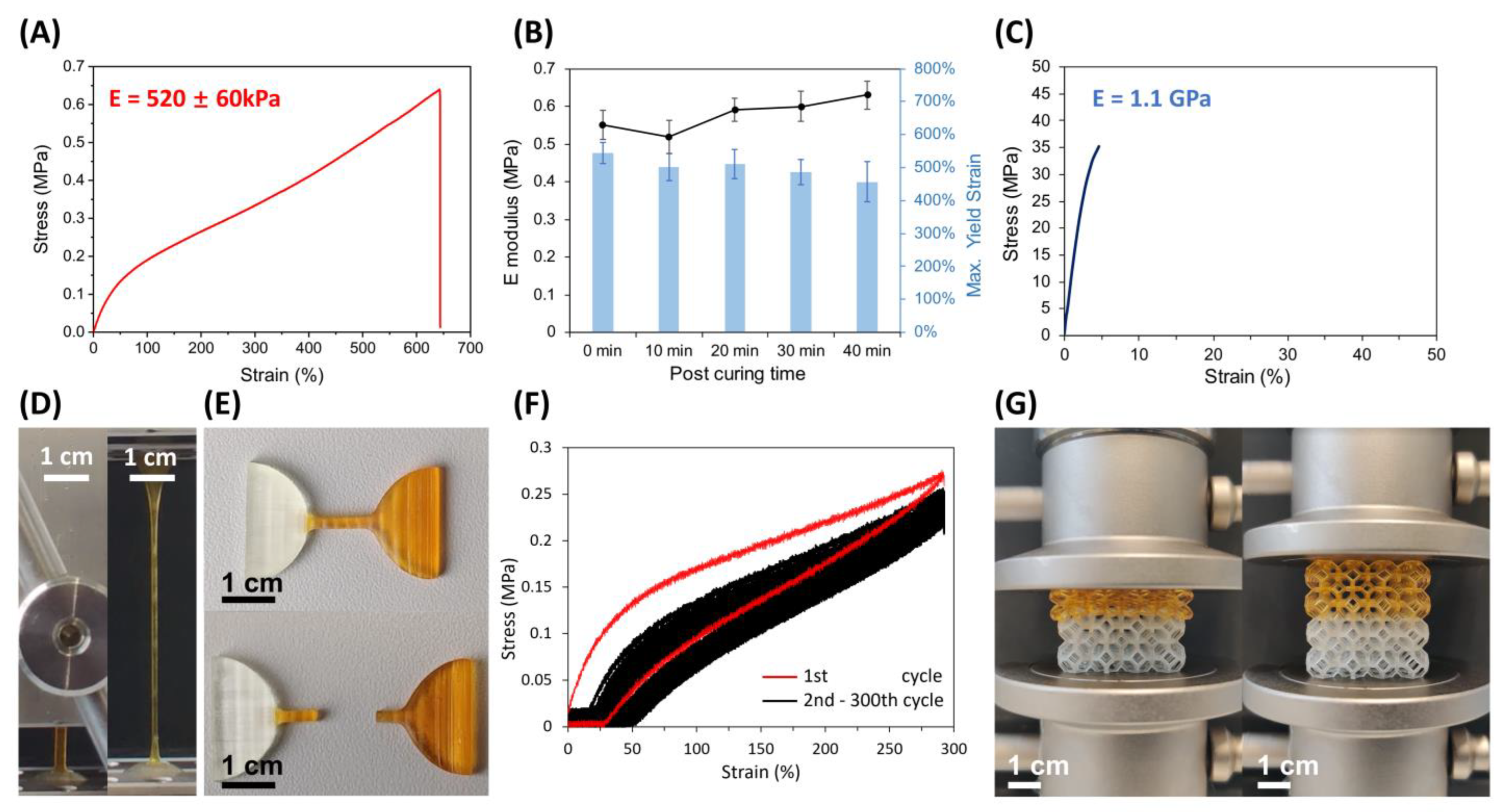 Micromachines 14 00244 g002