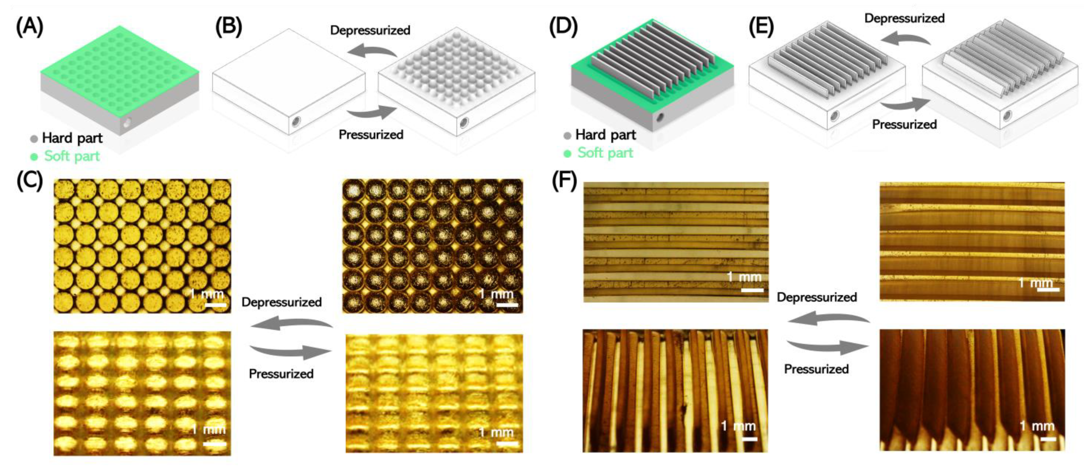 Micromachines 14 00244 g004