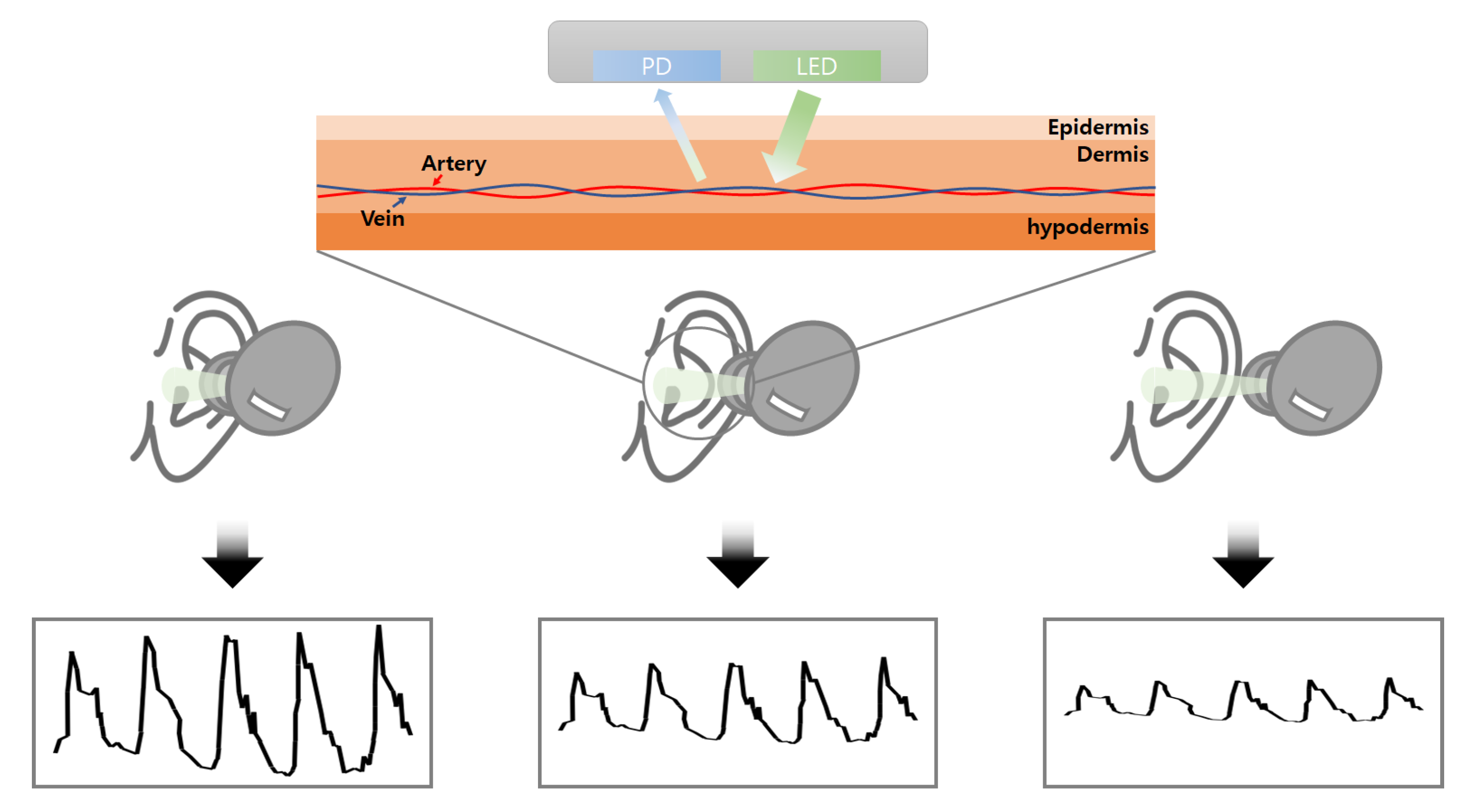 Micromachines 14 00252 g001
