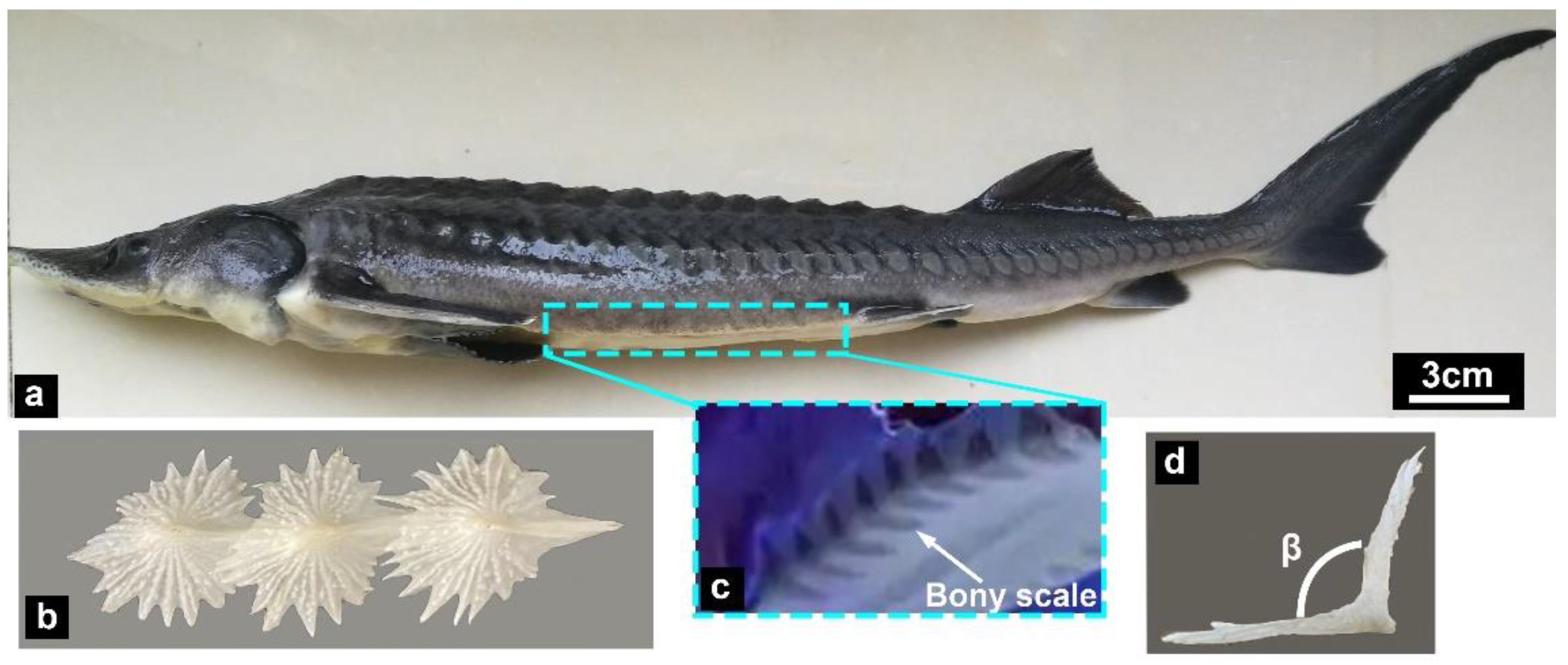 Micromachines 14 00256 g002 Micromachines 14 00256 g002
