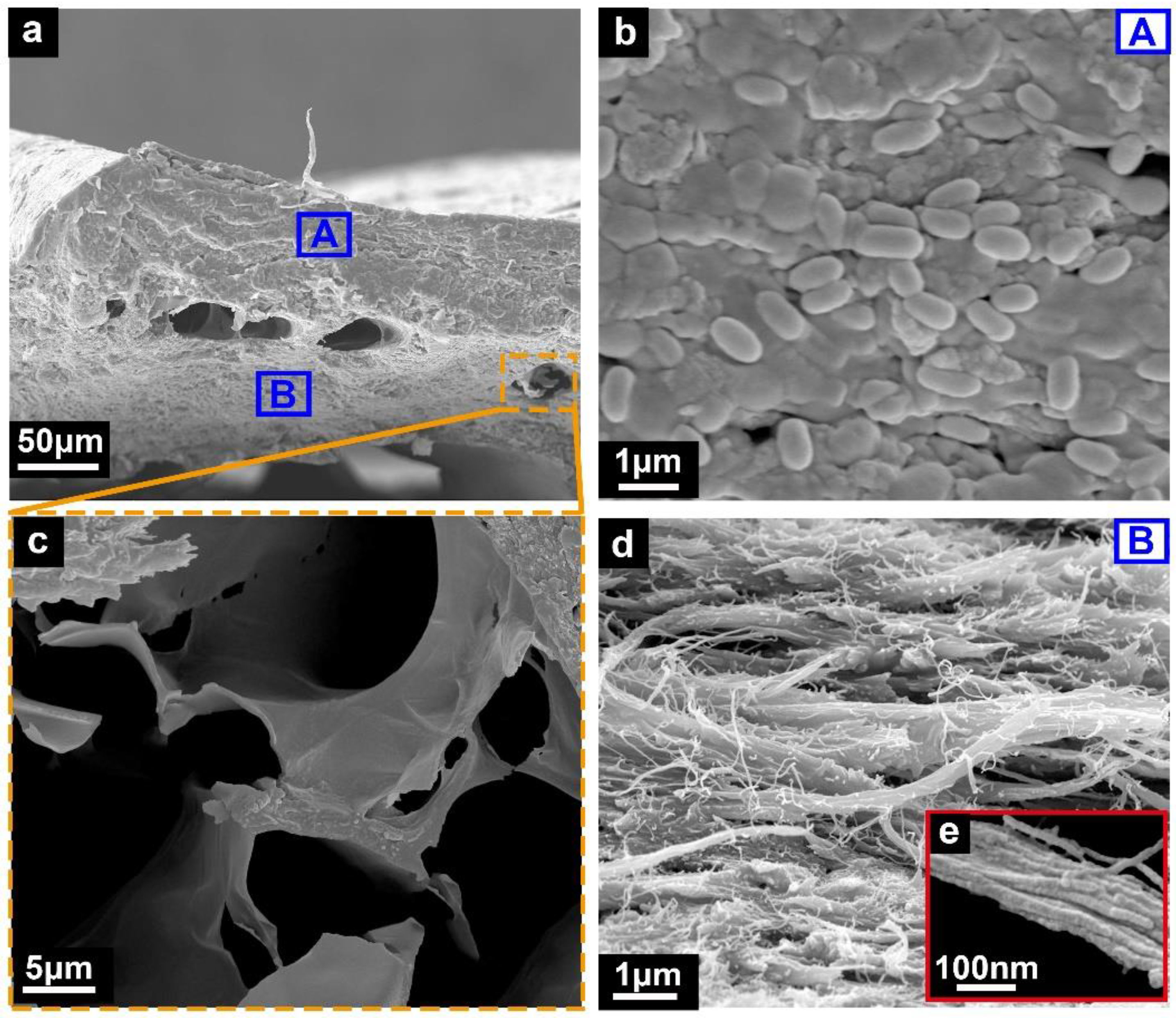 Micromachines 14 00256 g004 Micromachines 14 00256 g004