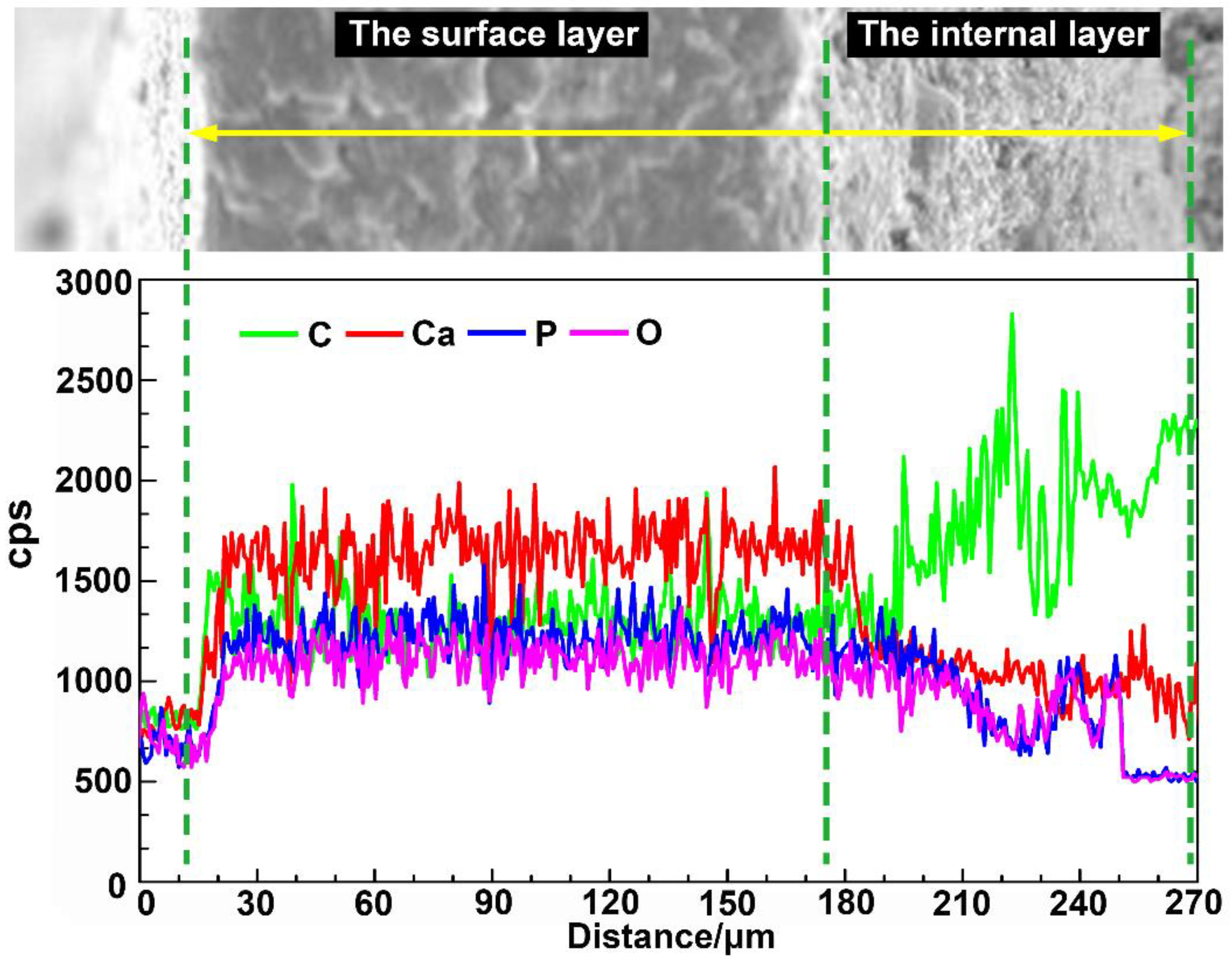 Micromachines 14 00256 g005 Micromachines 14 00256 g005
