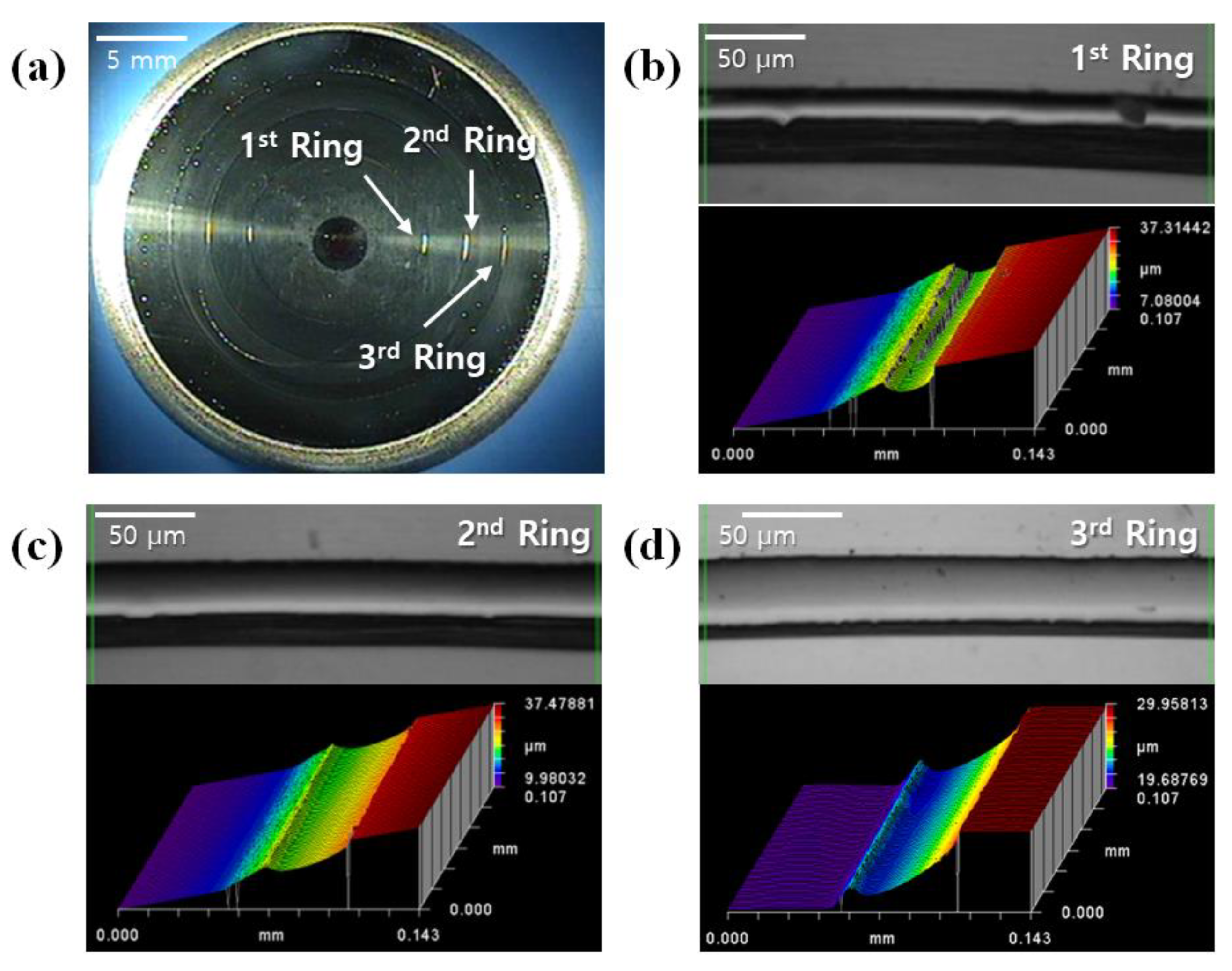 Micromachines 14 00273 g005