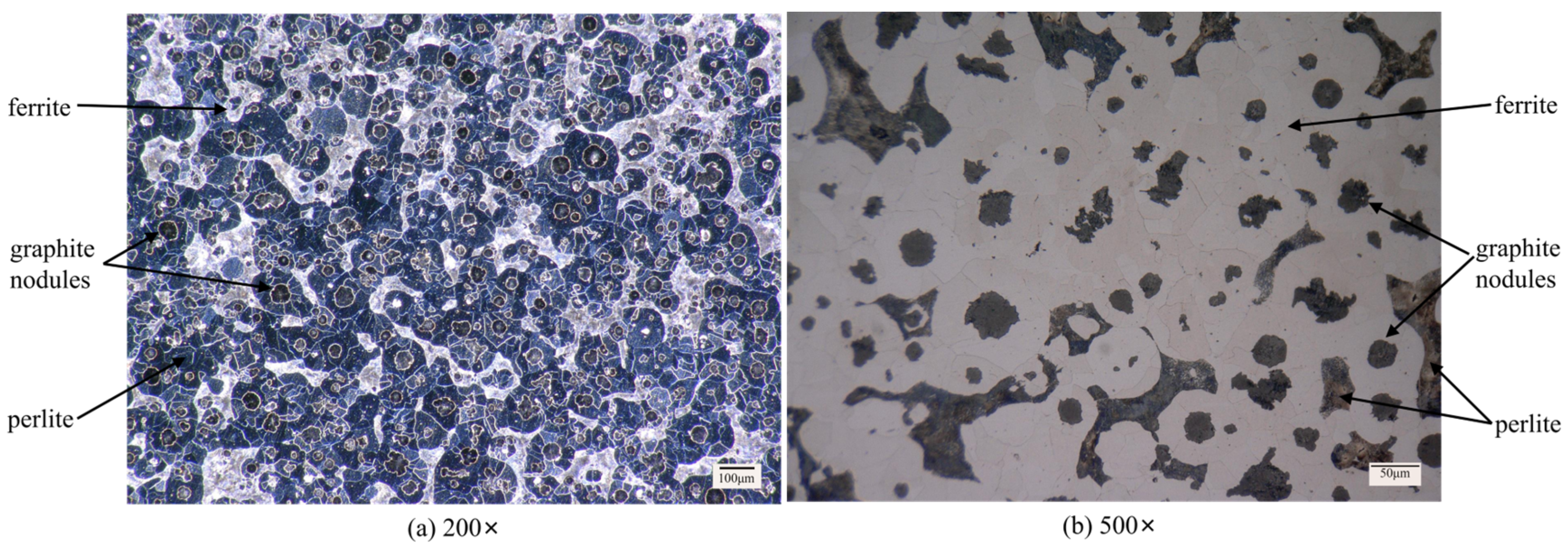 Micromachines 14 00276 g001