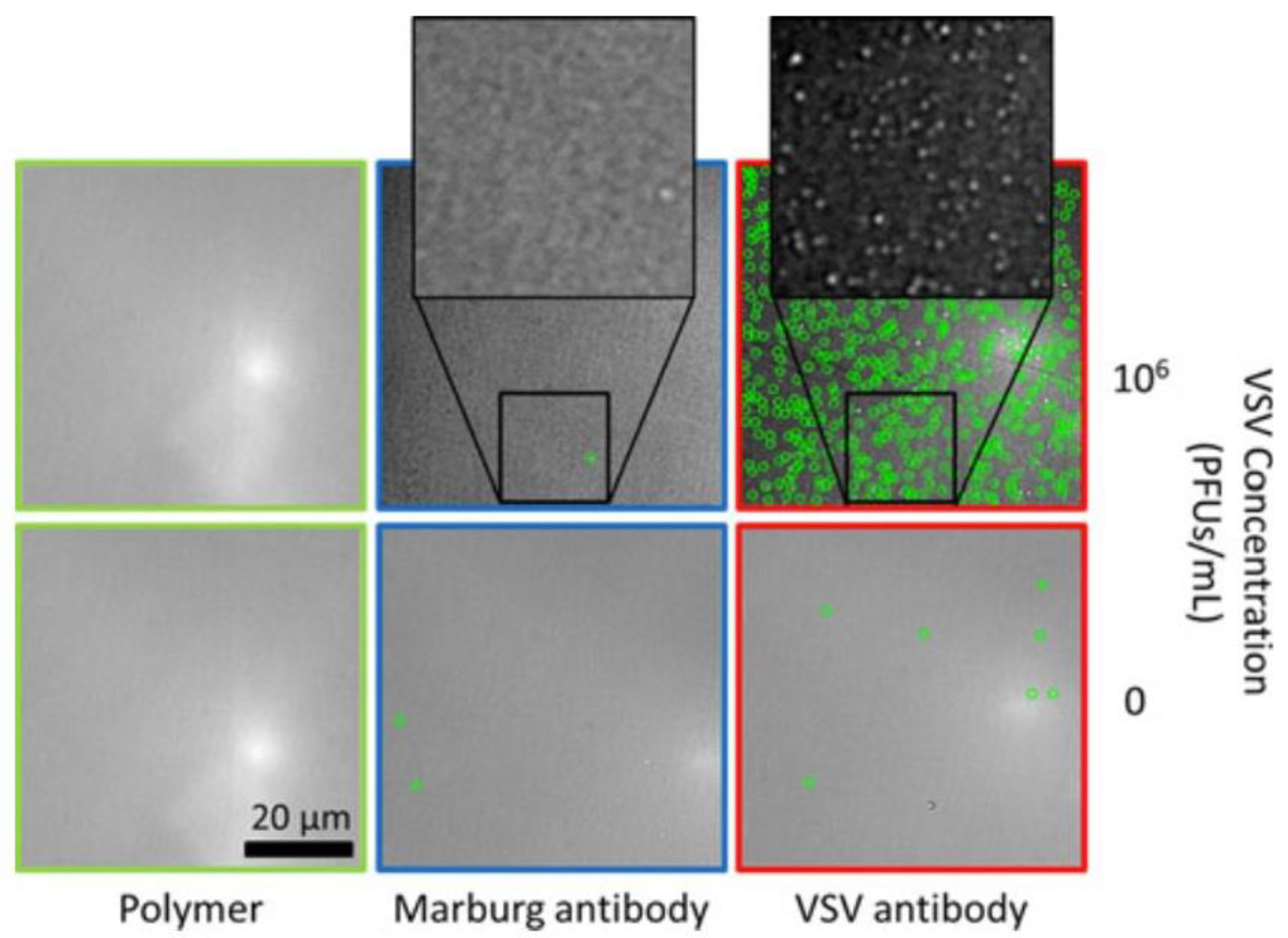 Micromachines 14 00281 g002