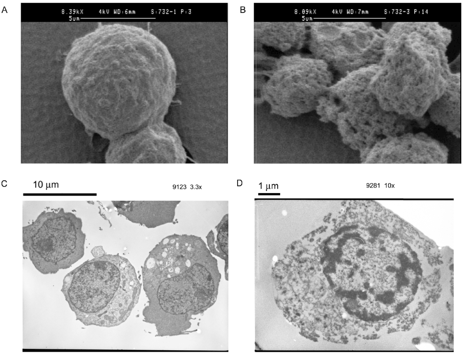 Micromachines 14 00283 g005