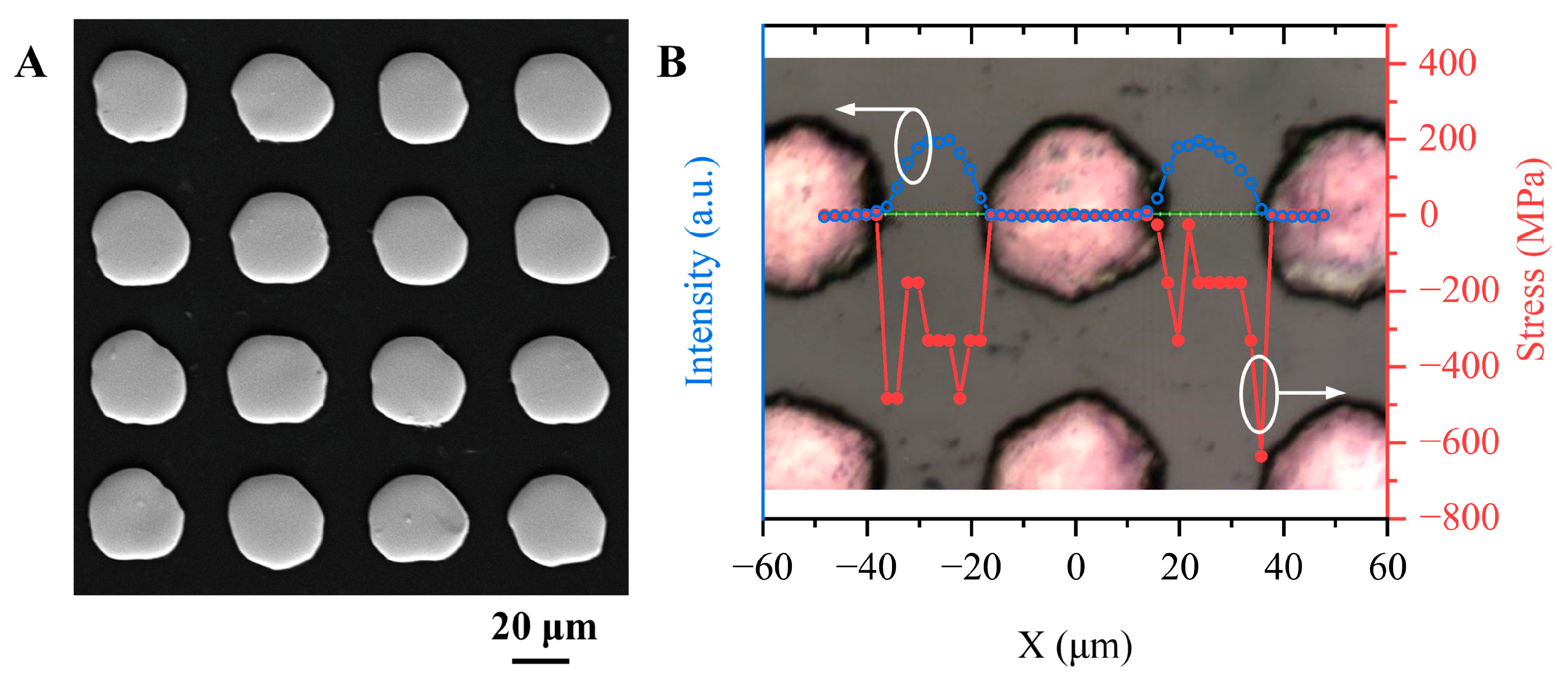 Micromachines 14 00290 g006