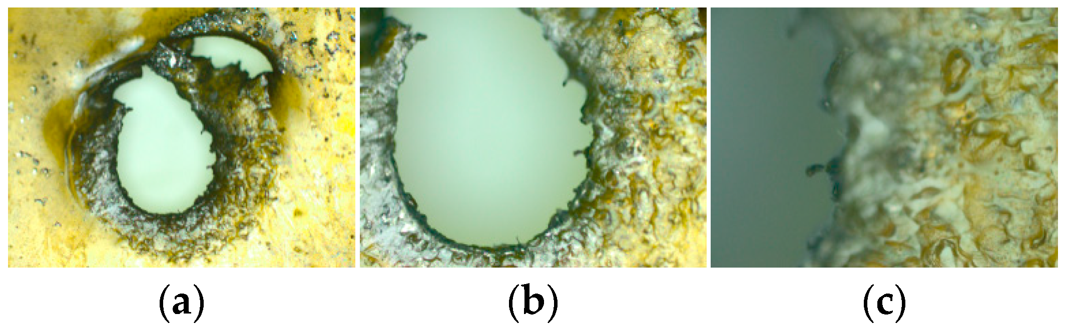 Micromachines 14 00312 g015