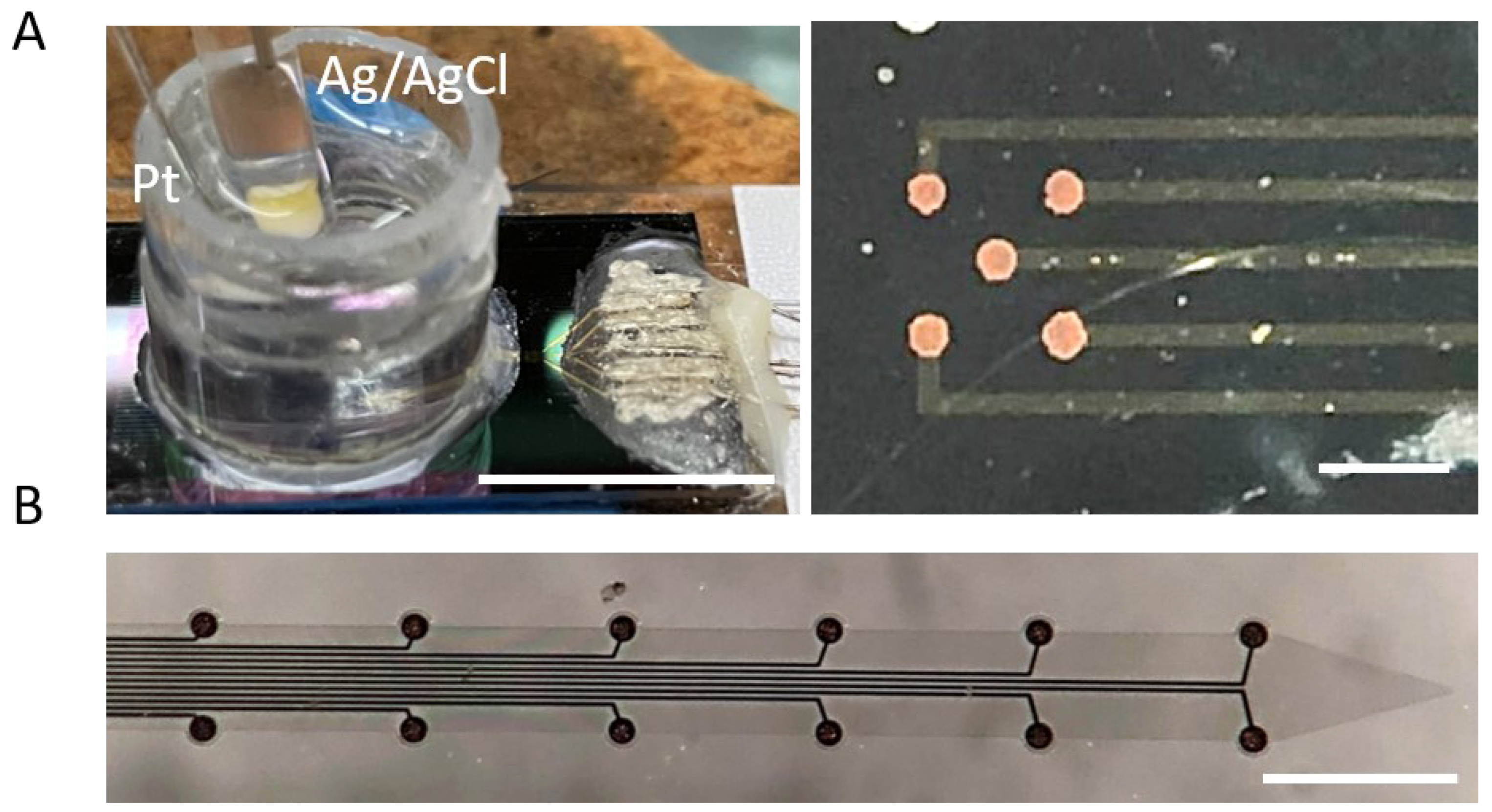 Micromachines 14 00323 g001