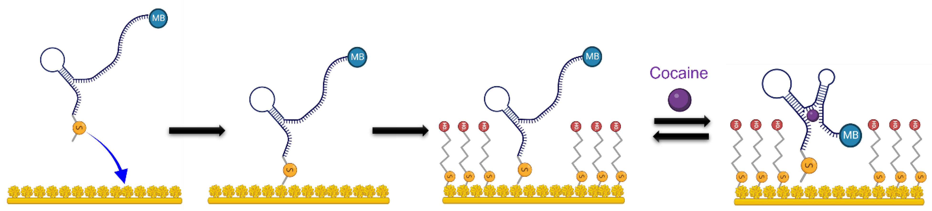 Micromachines 14 00323 sch001