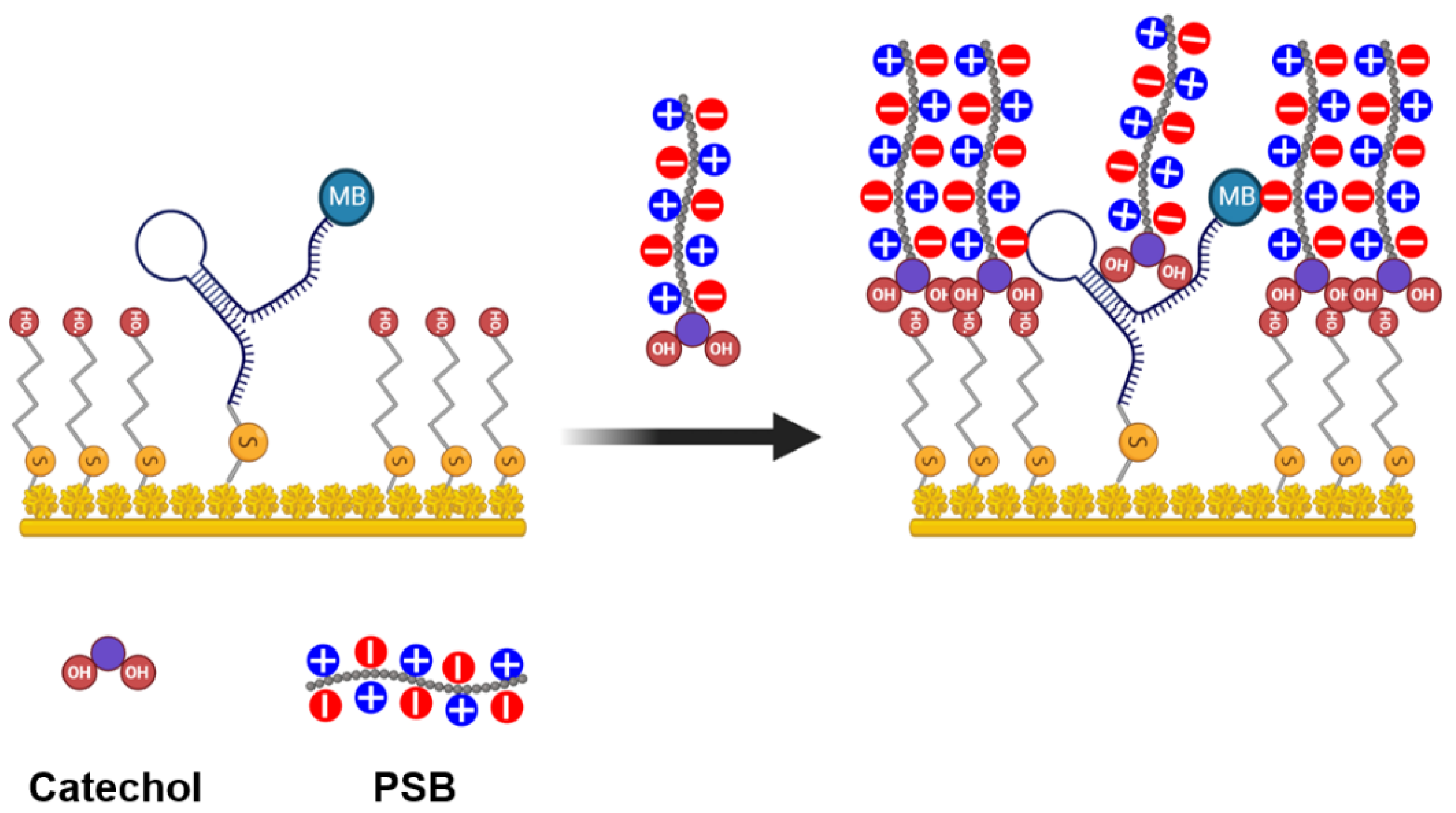 Micromachines 14 00323 sch002