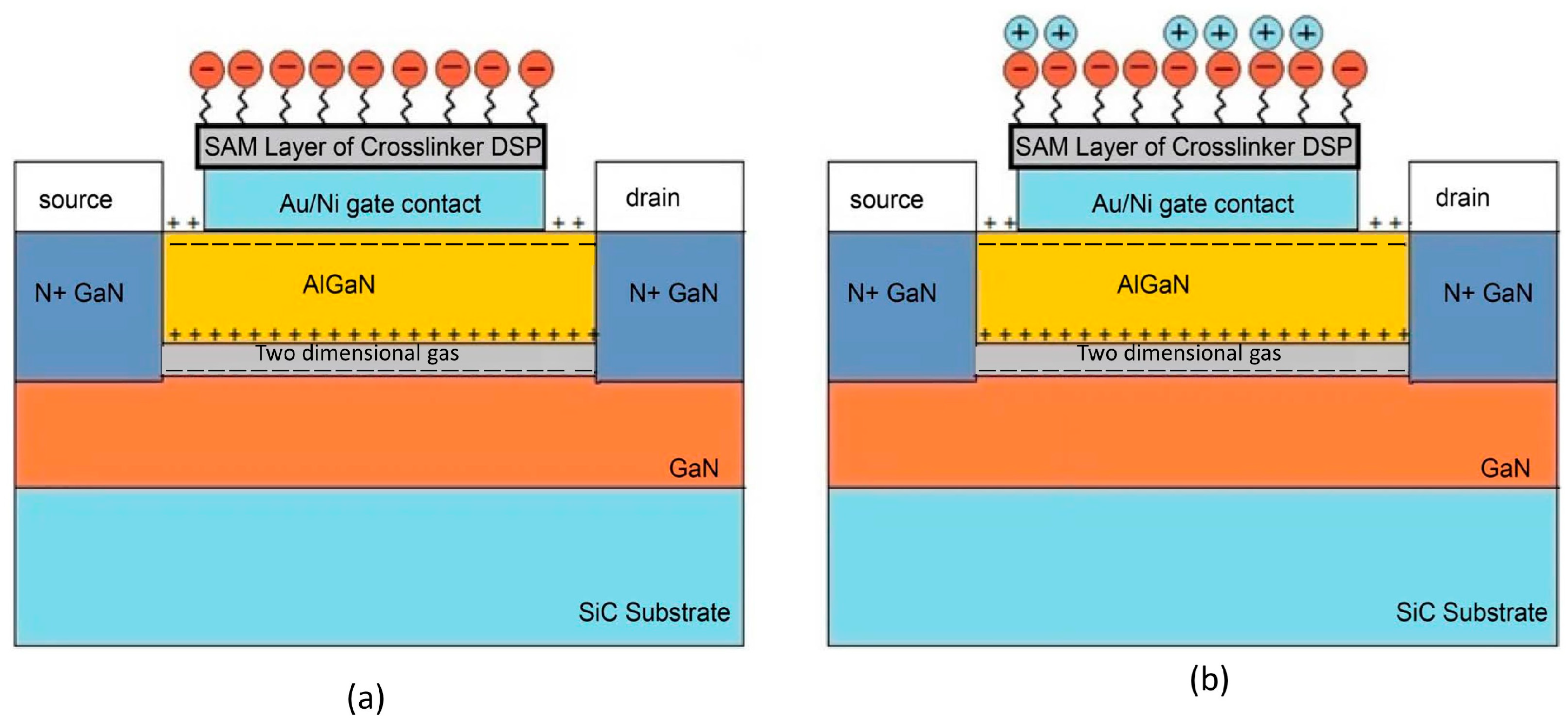 Micromachines 14 00325 g012