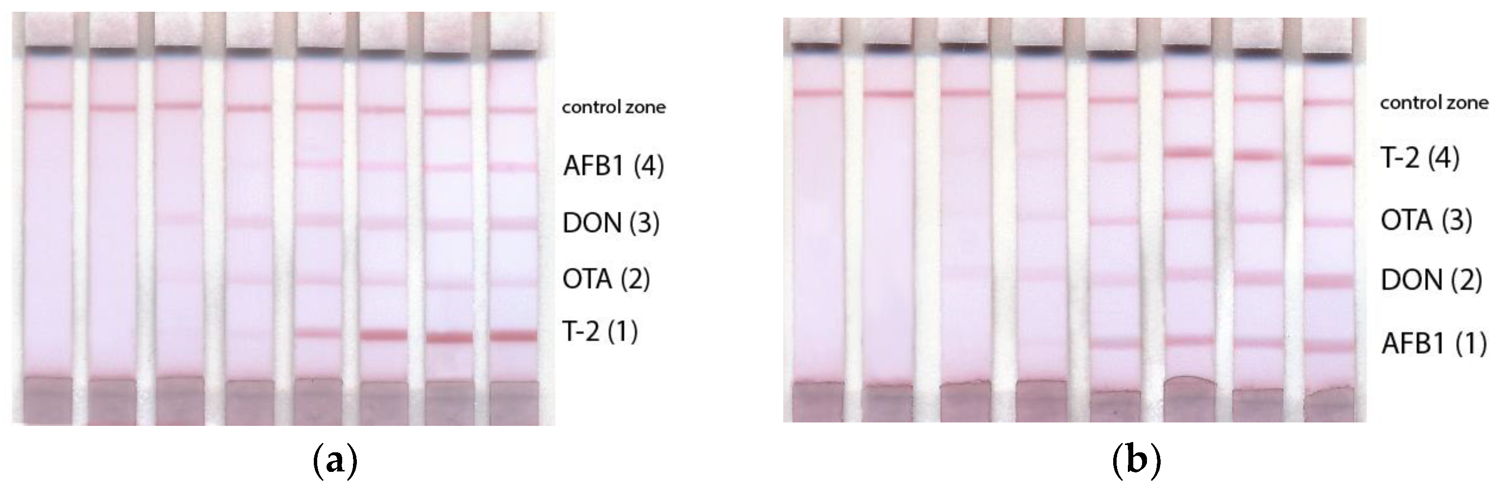 Micromachines 14 00333 g005