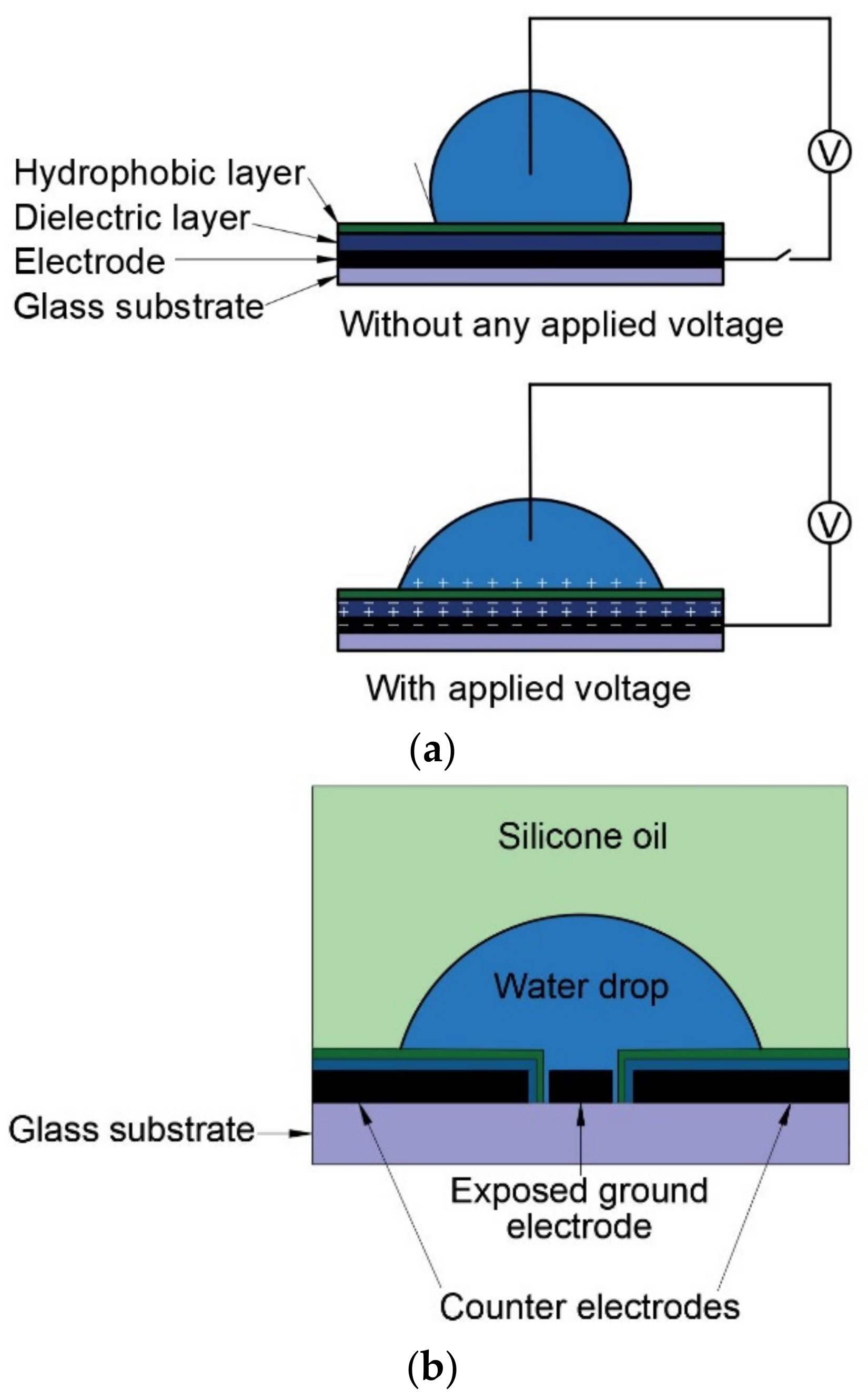 Micromachines 14 00348 g001a