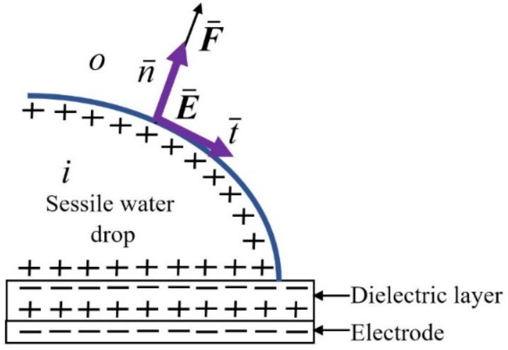 Micromachines 14 00348 g002