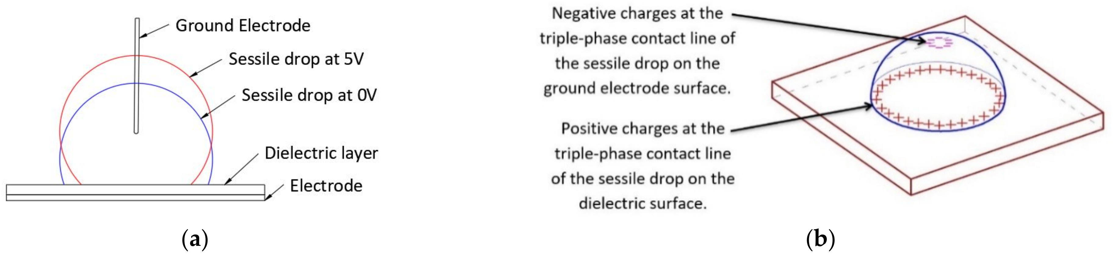 Micromachines 14 00348 g013