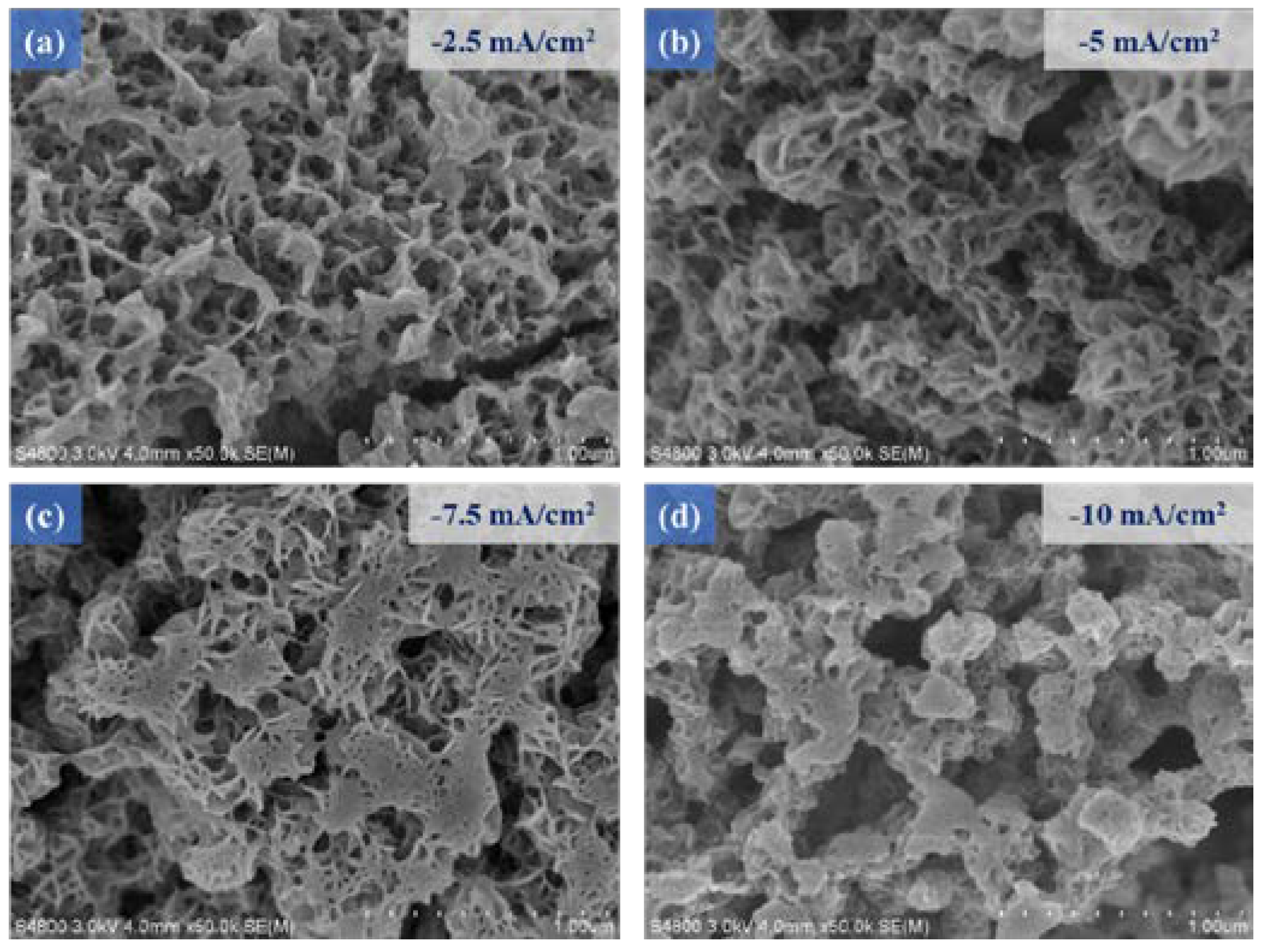 Micromachines 14 00361 g003