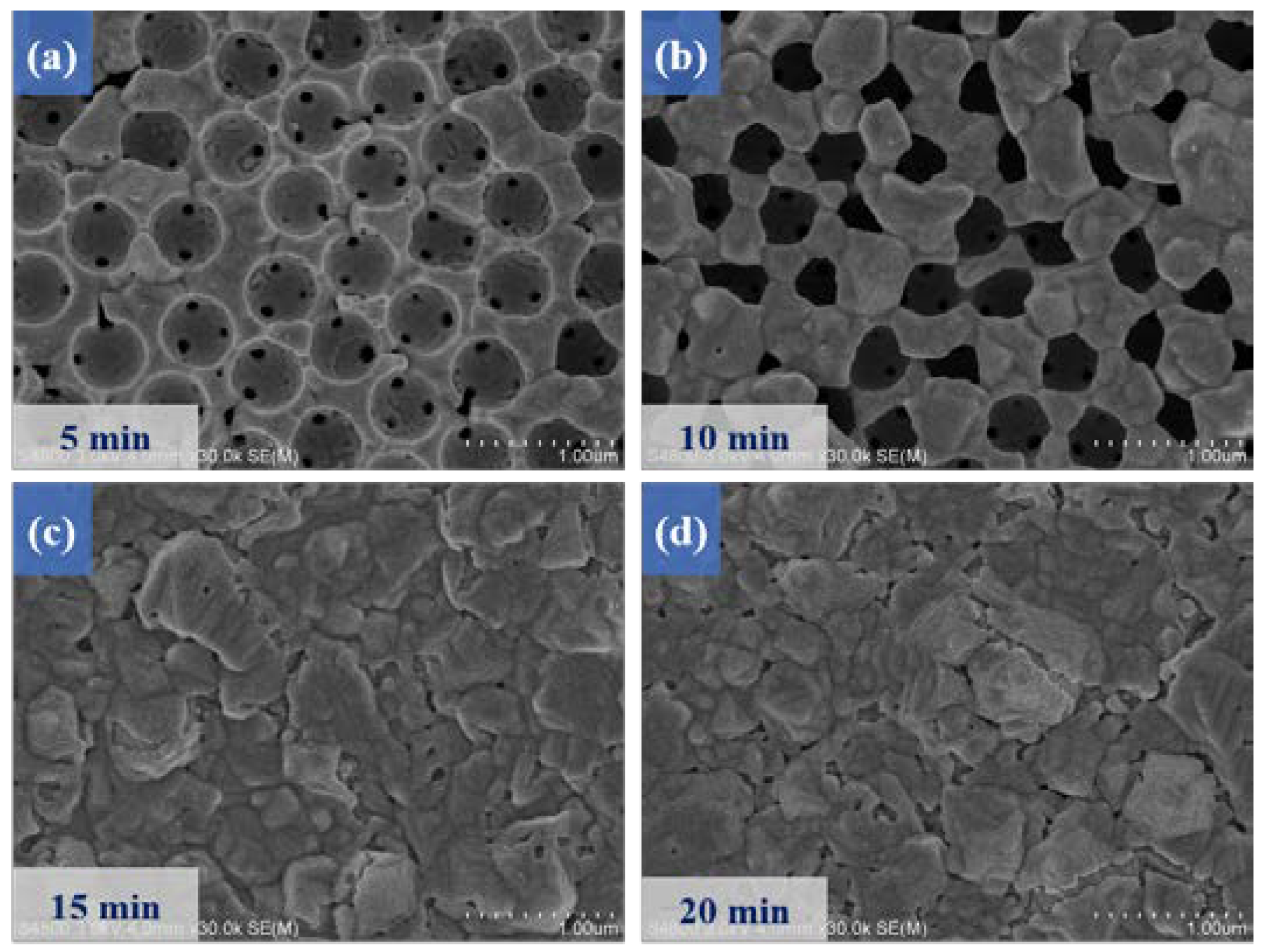 Micromachines 14 00361 g004
