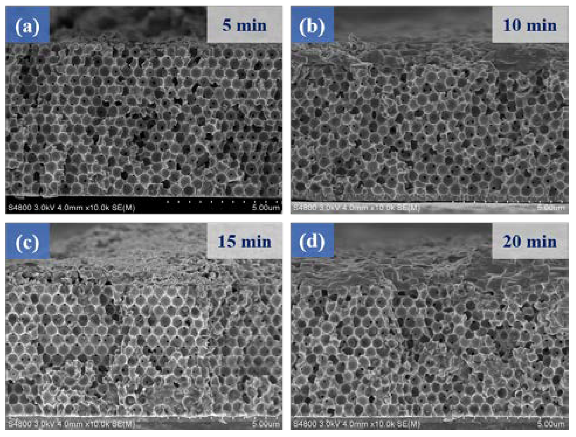 Micromachines 14 00361 g005