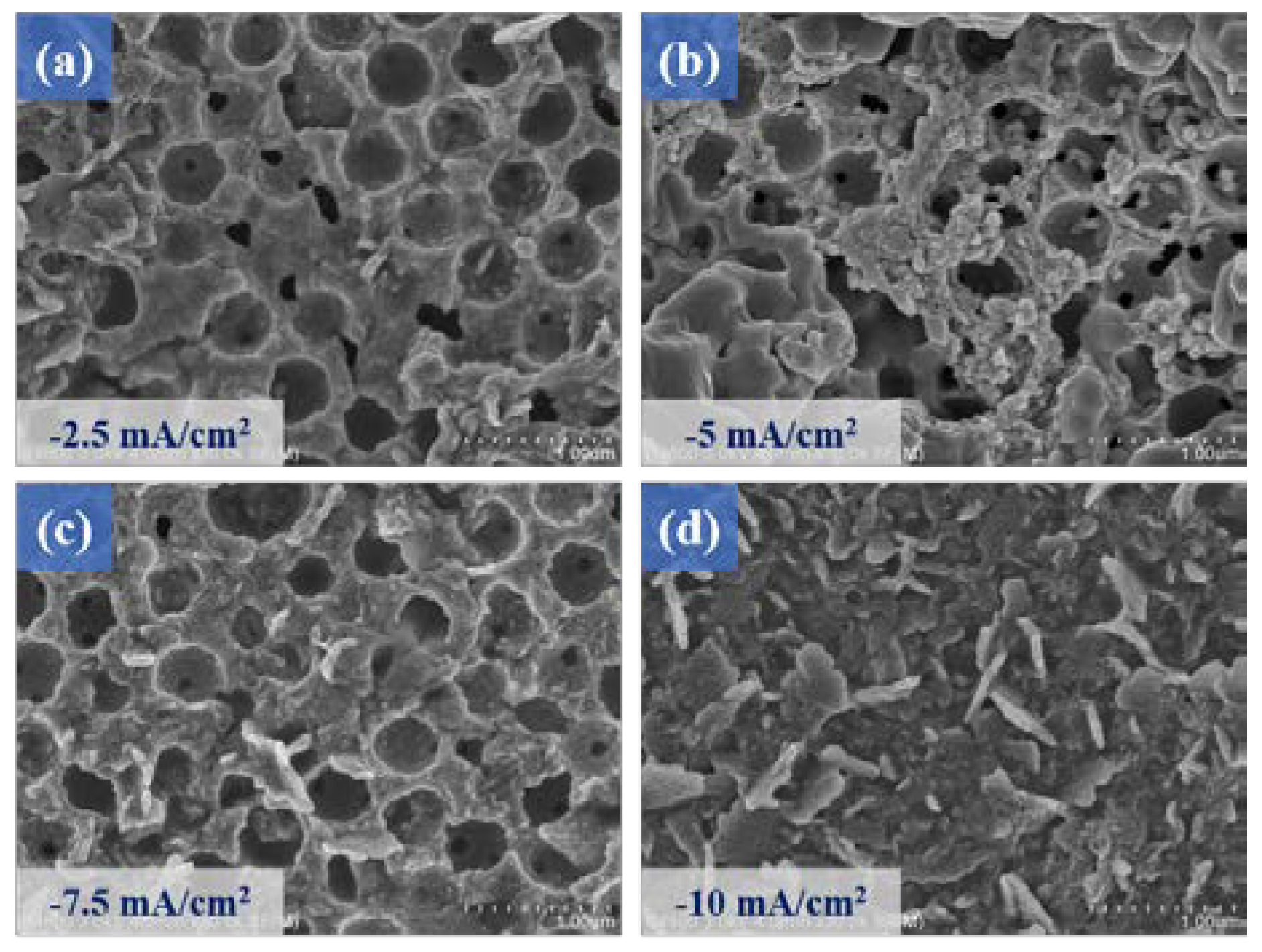 Micromachines 14 00361 g006