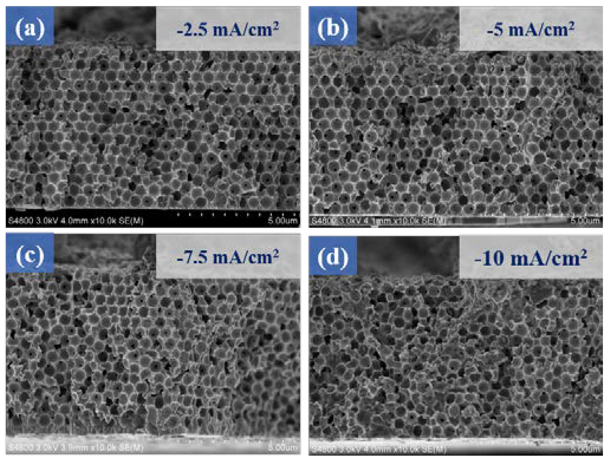 Micromachines 14 00361 g008