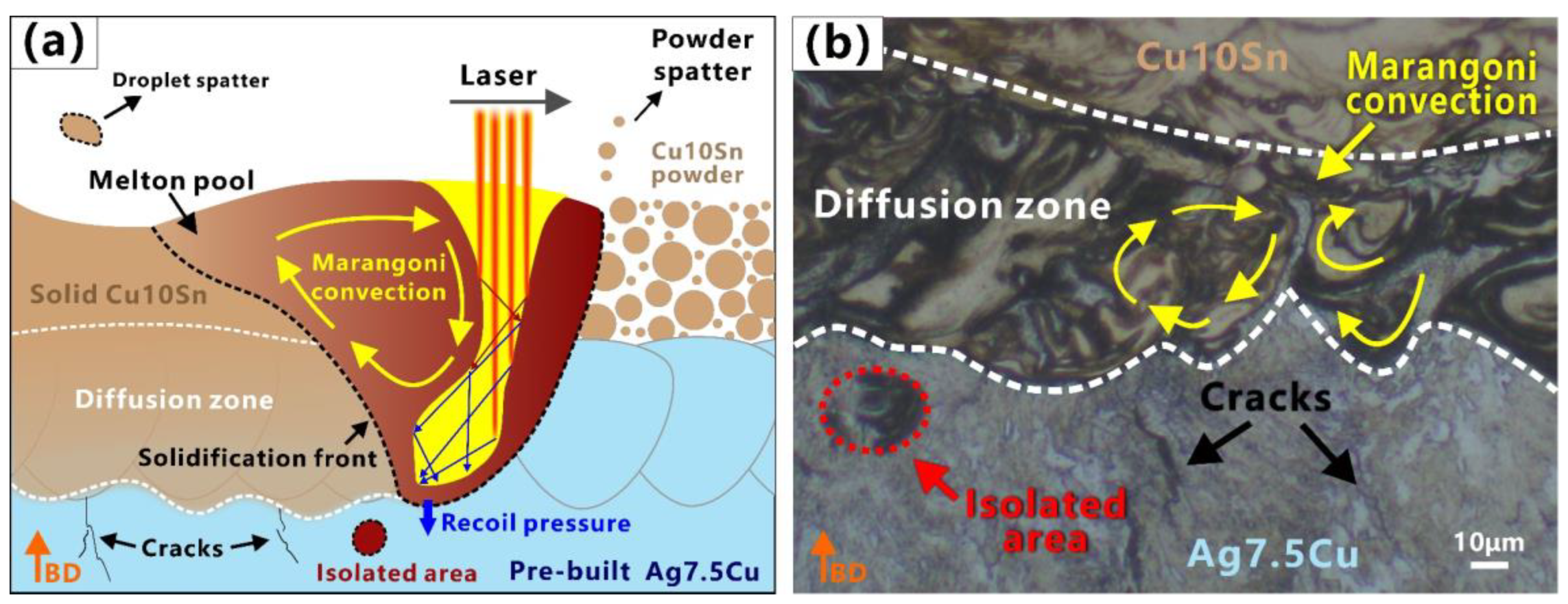 Micromachines 14 00362 g008