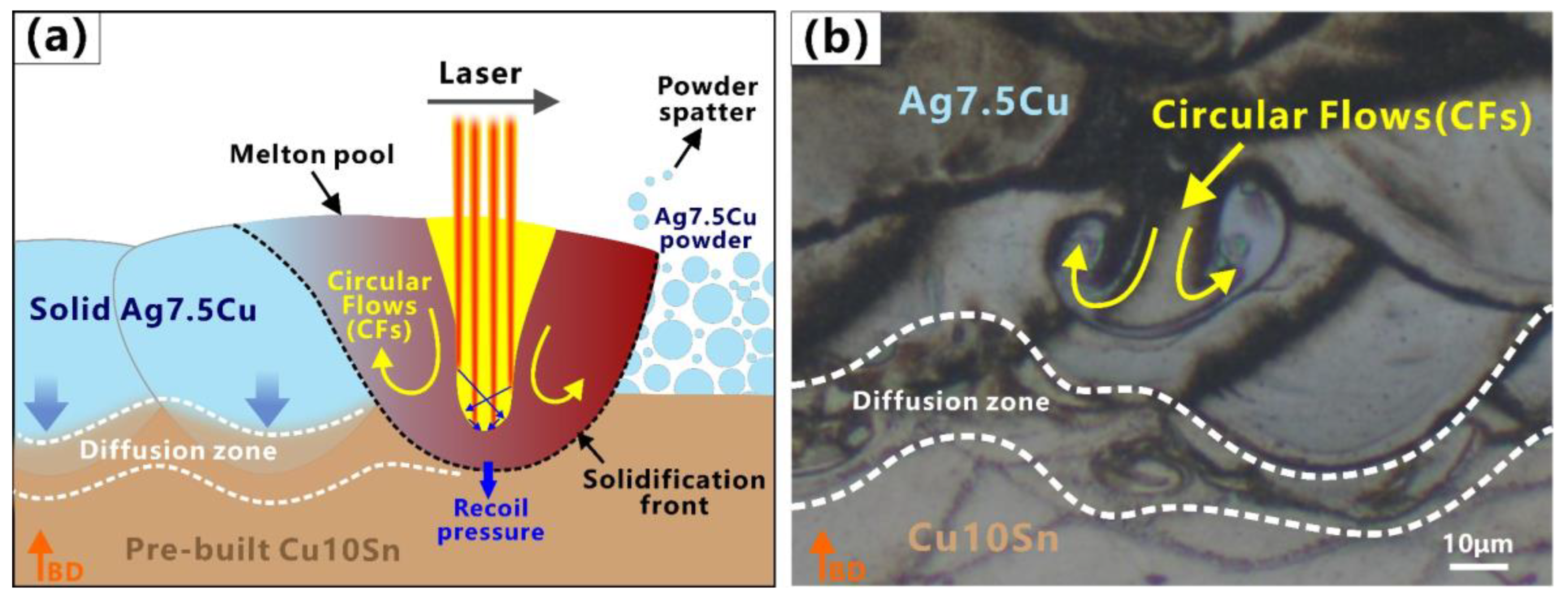 Micromachines 14 00362 g009
