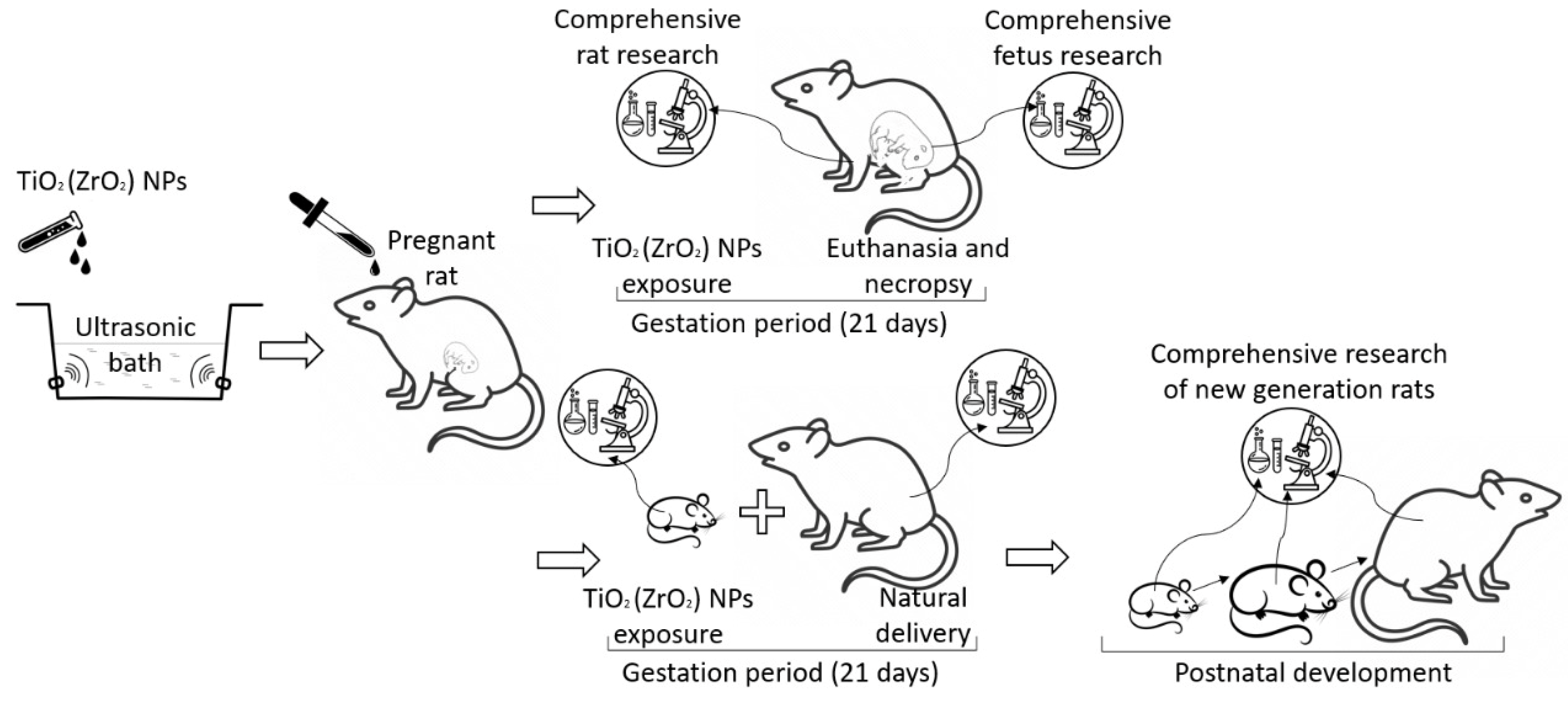 Micromachines 14 00363 g001