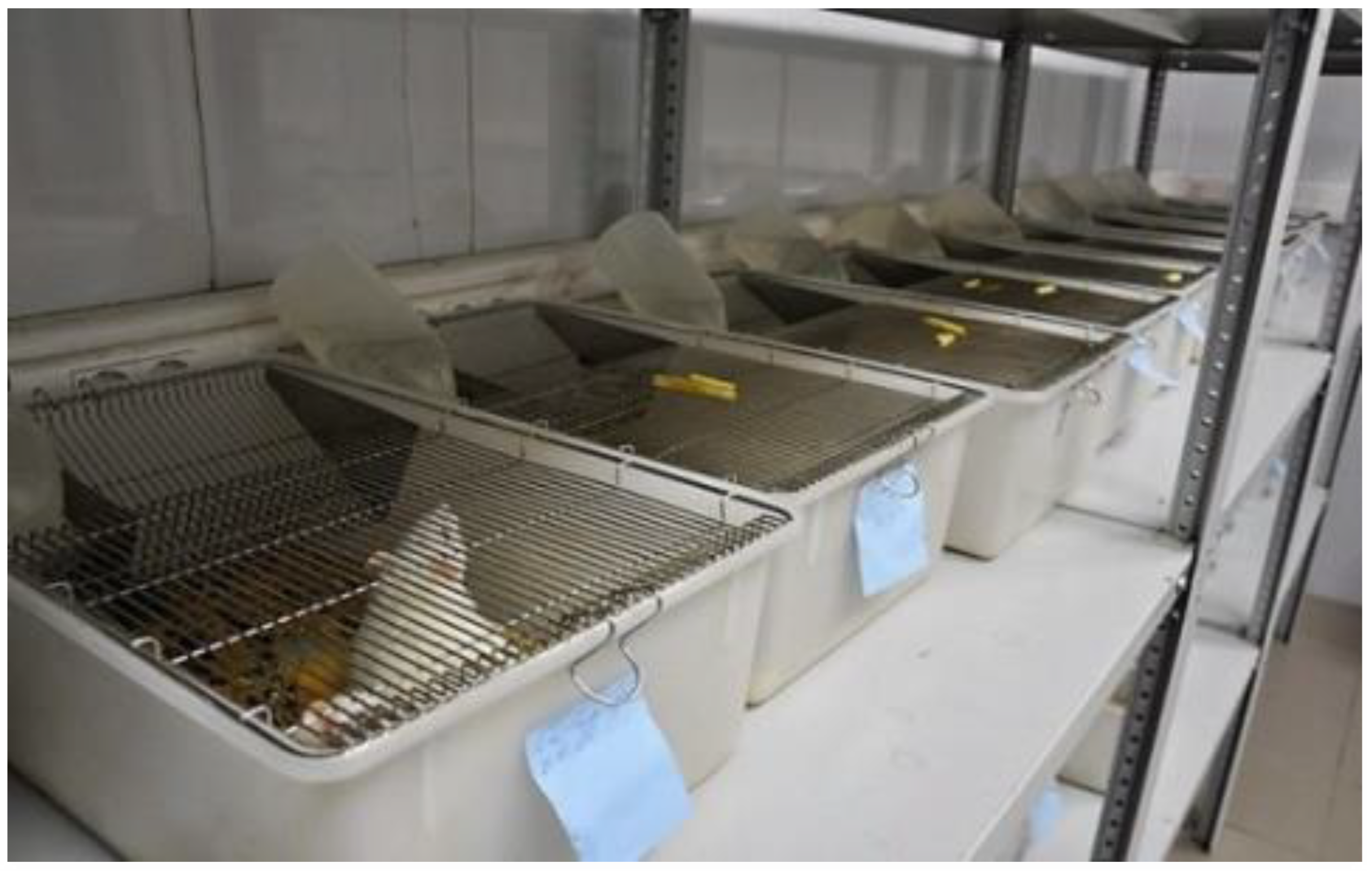 Micromachines 14 00363 g002