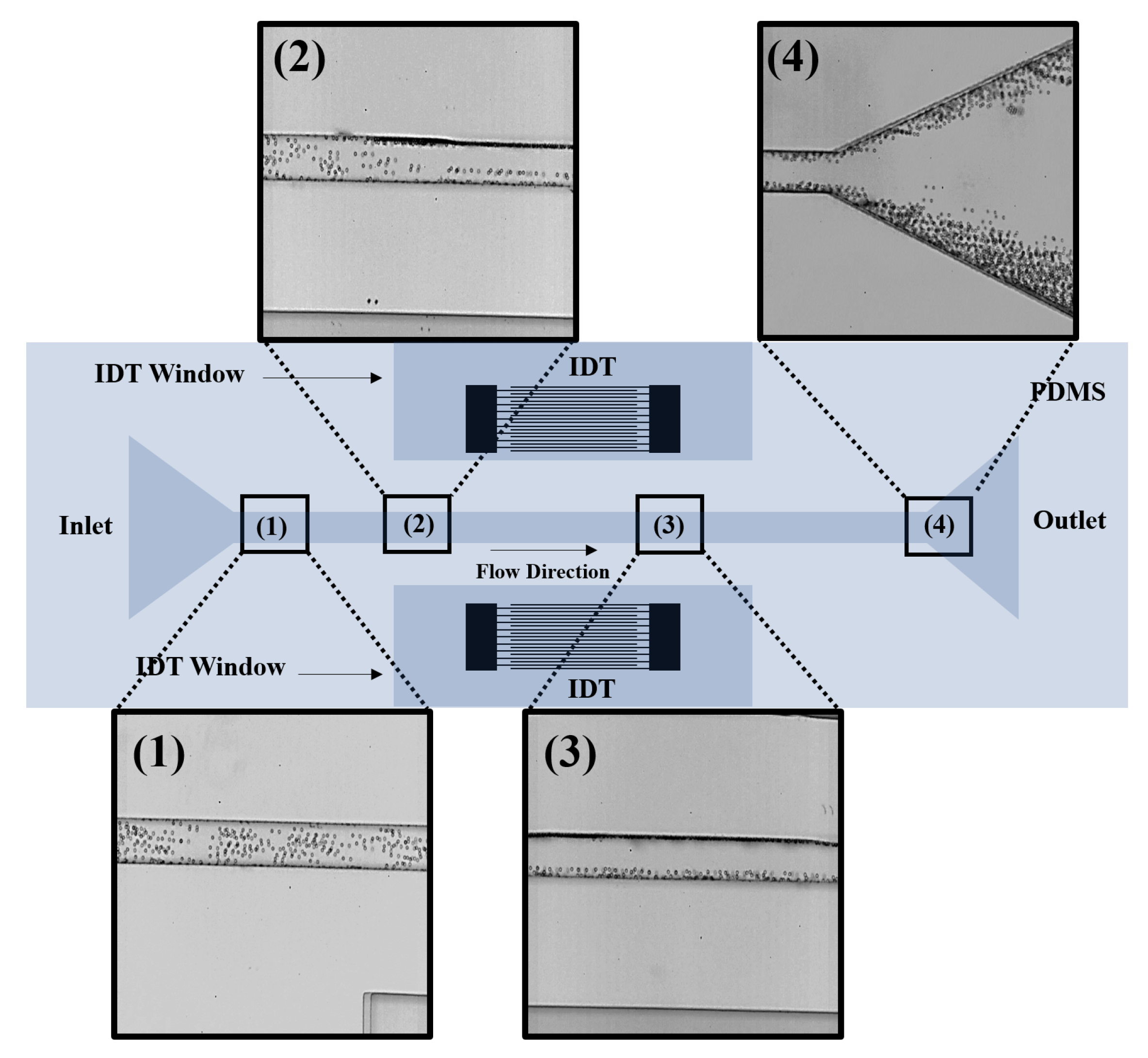 Micromachines 14 00366 g012