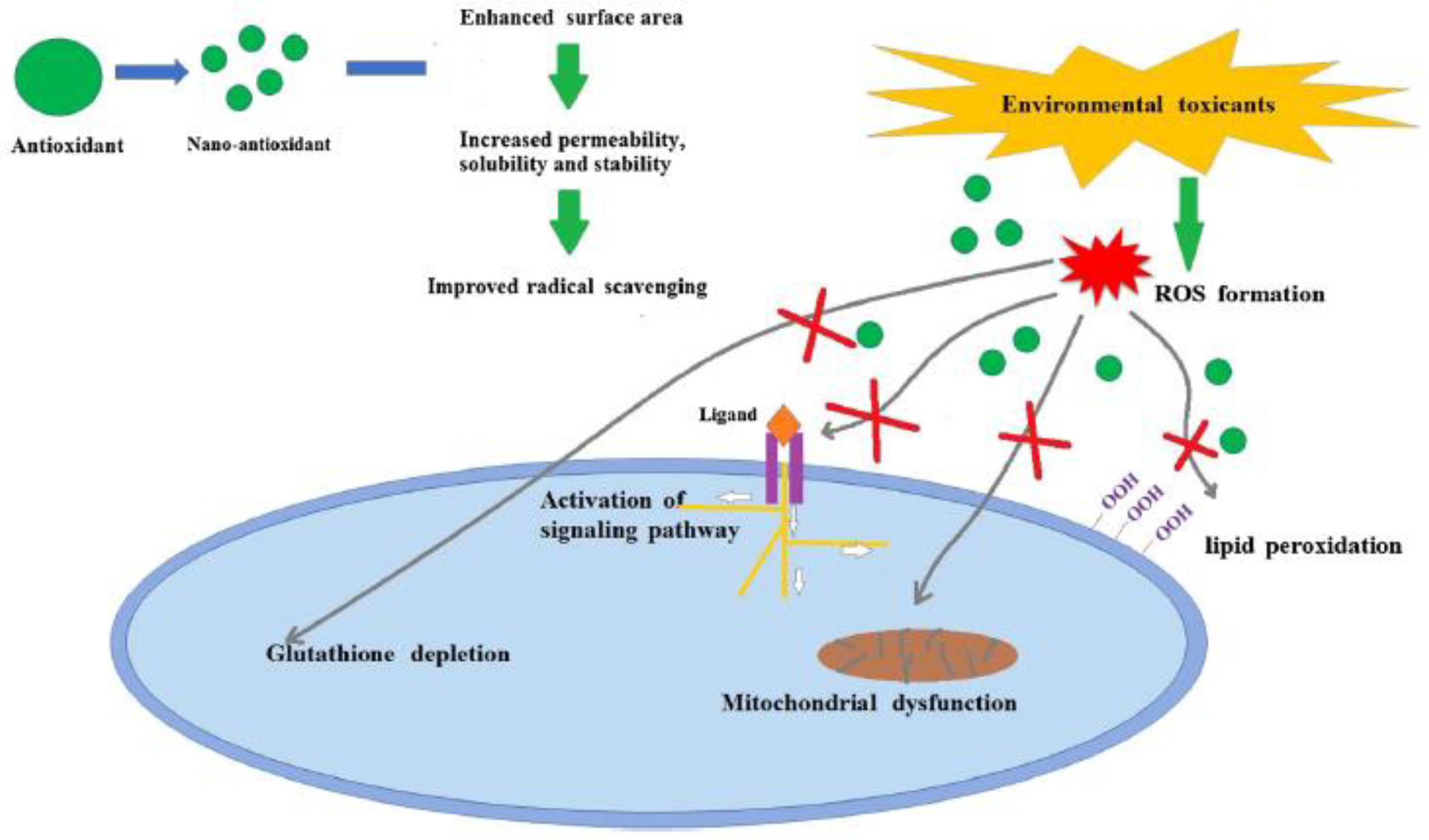 Micromachines 14 00383 g002