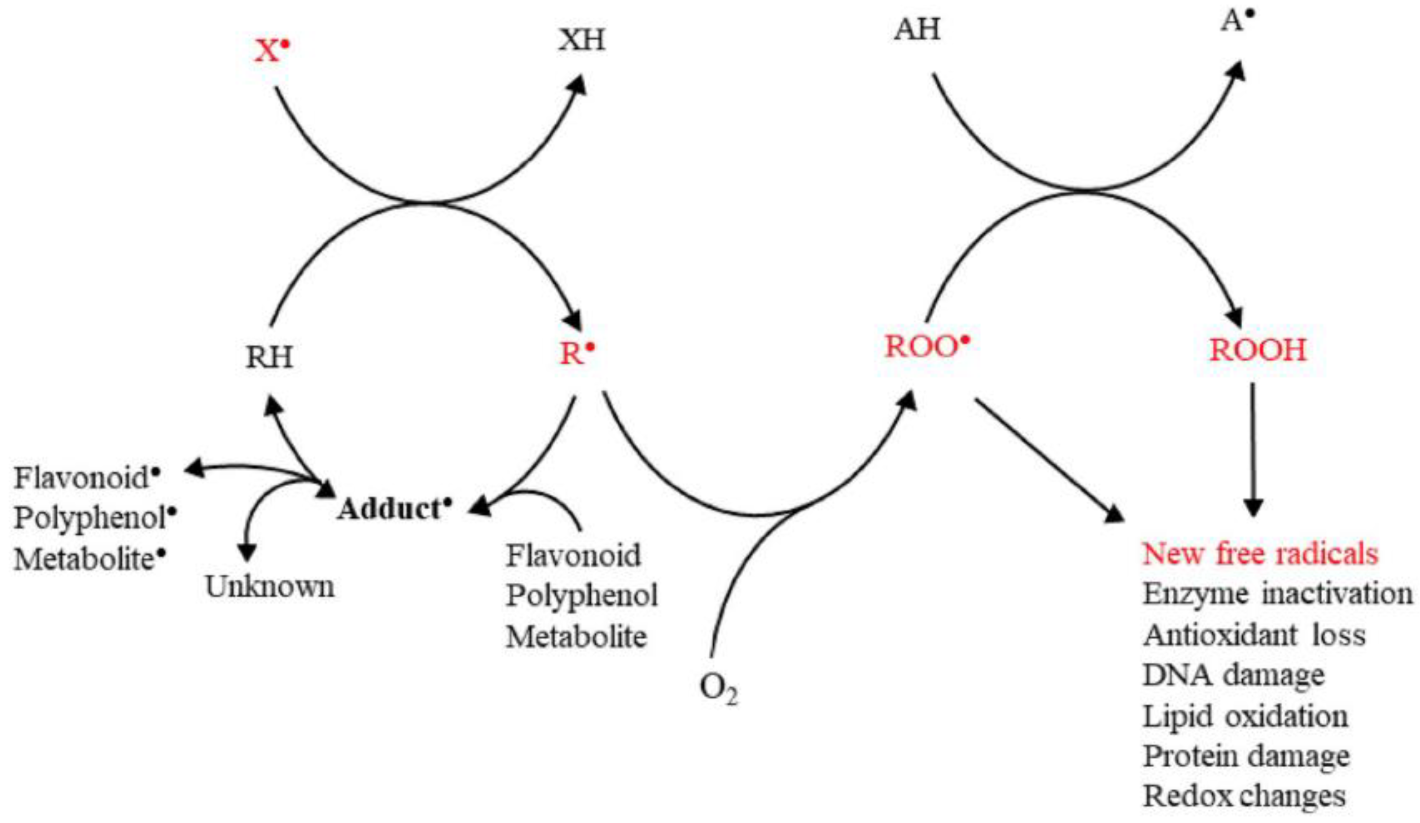 Micromachines 14 00383 g003