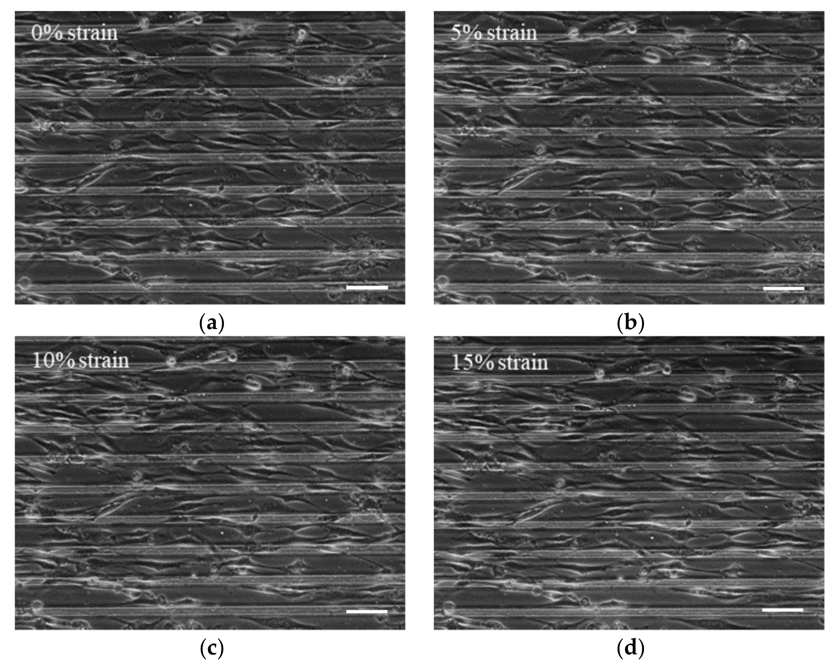 Micromachines 14 00397 g002a