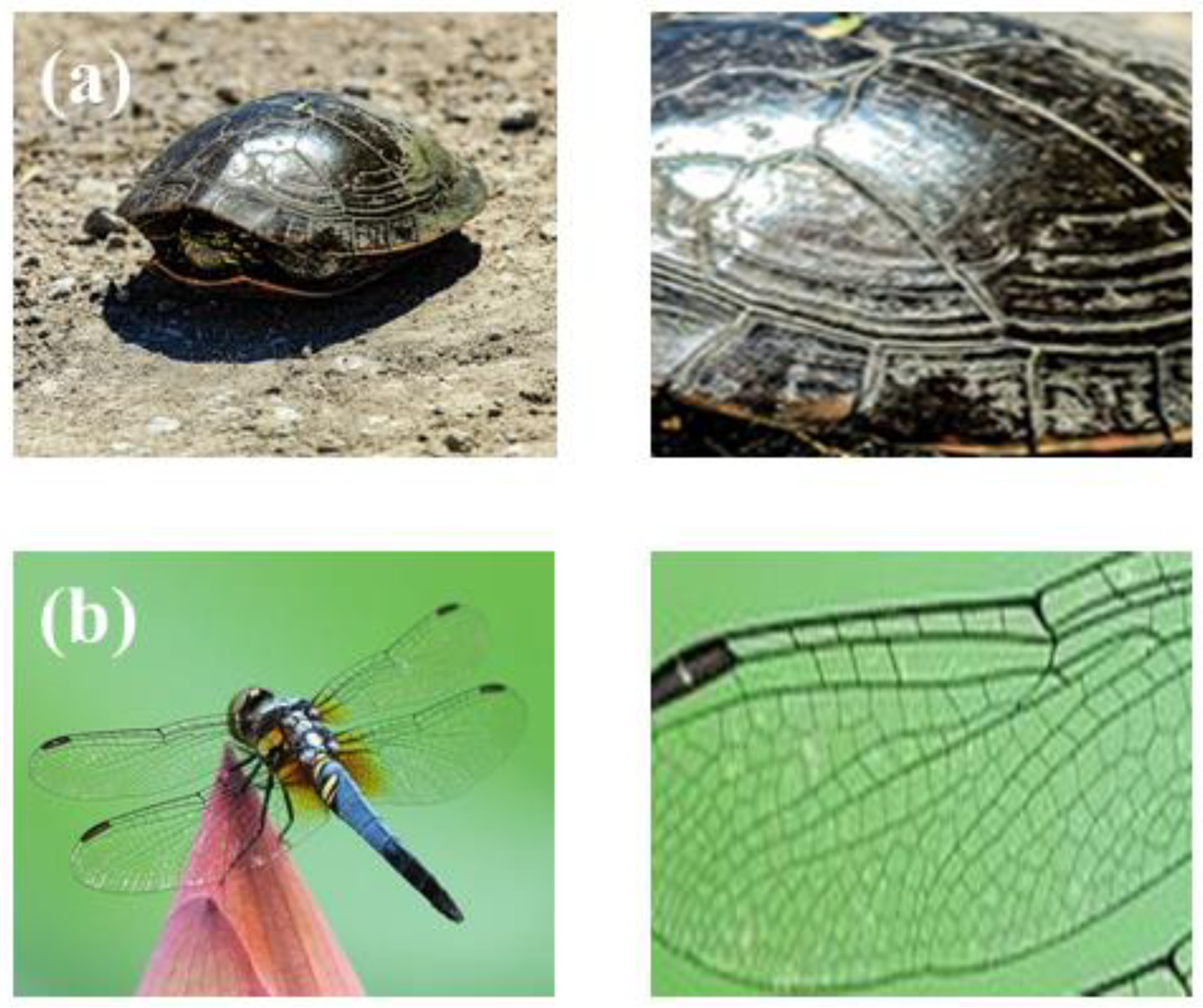 Micromachines 14 00418 g001