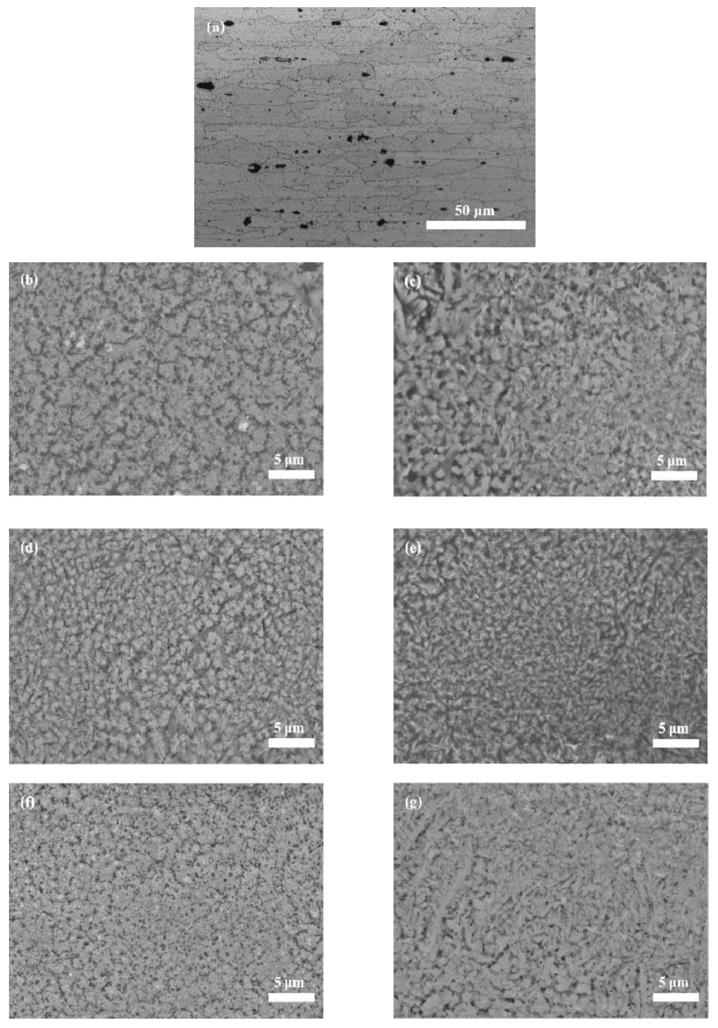 Micromachines 14 00418 g007