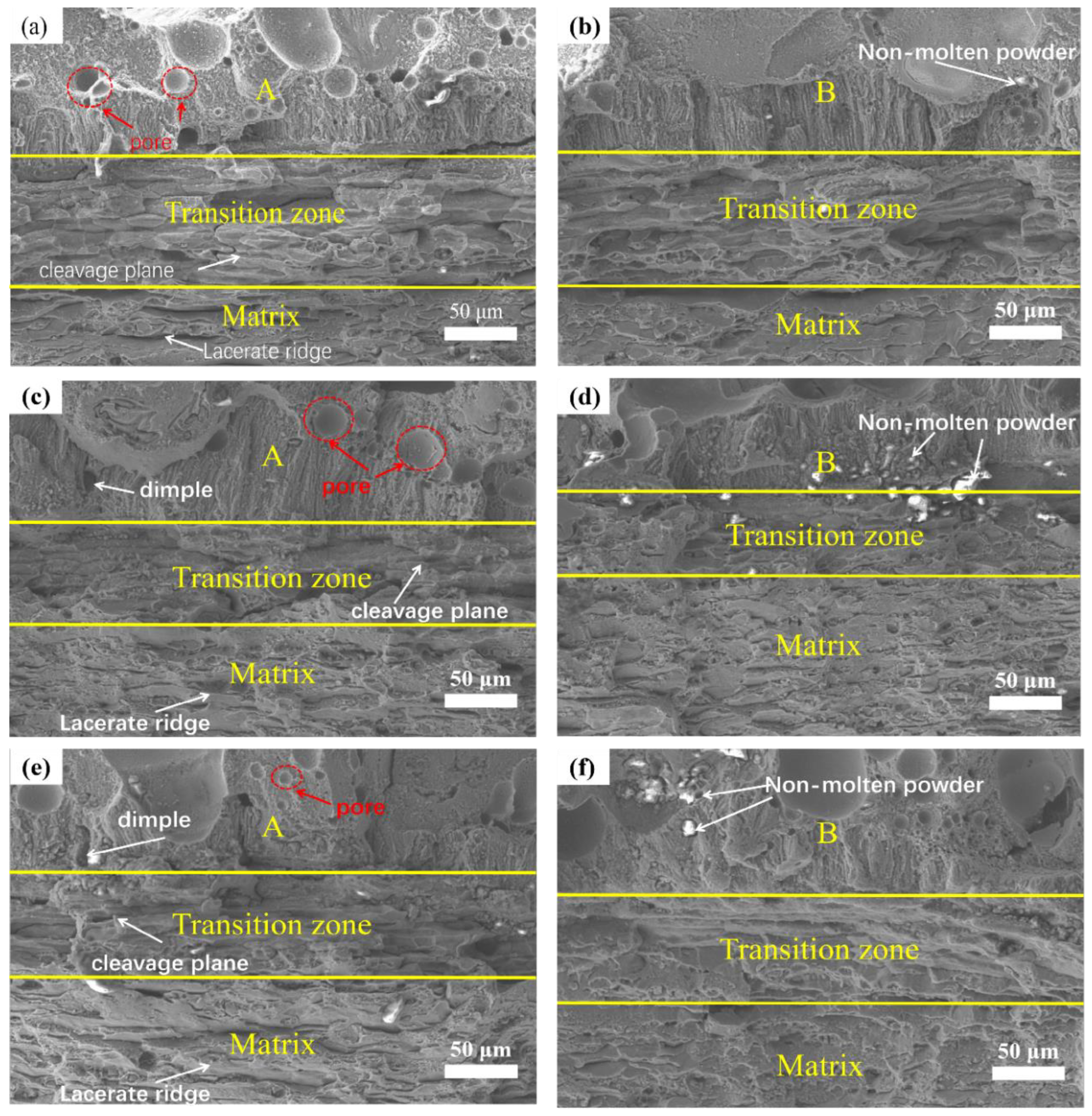 Micromachines 14 00418 g011