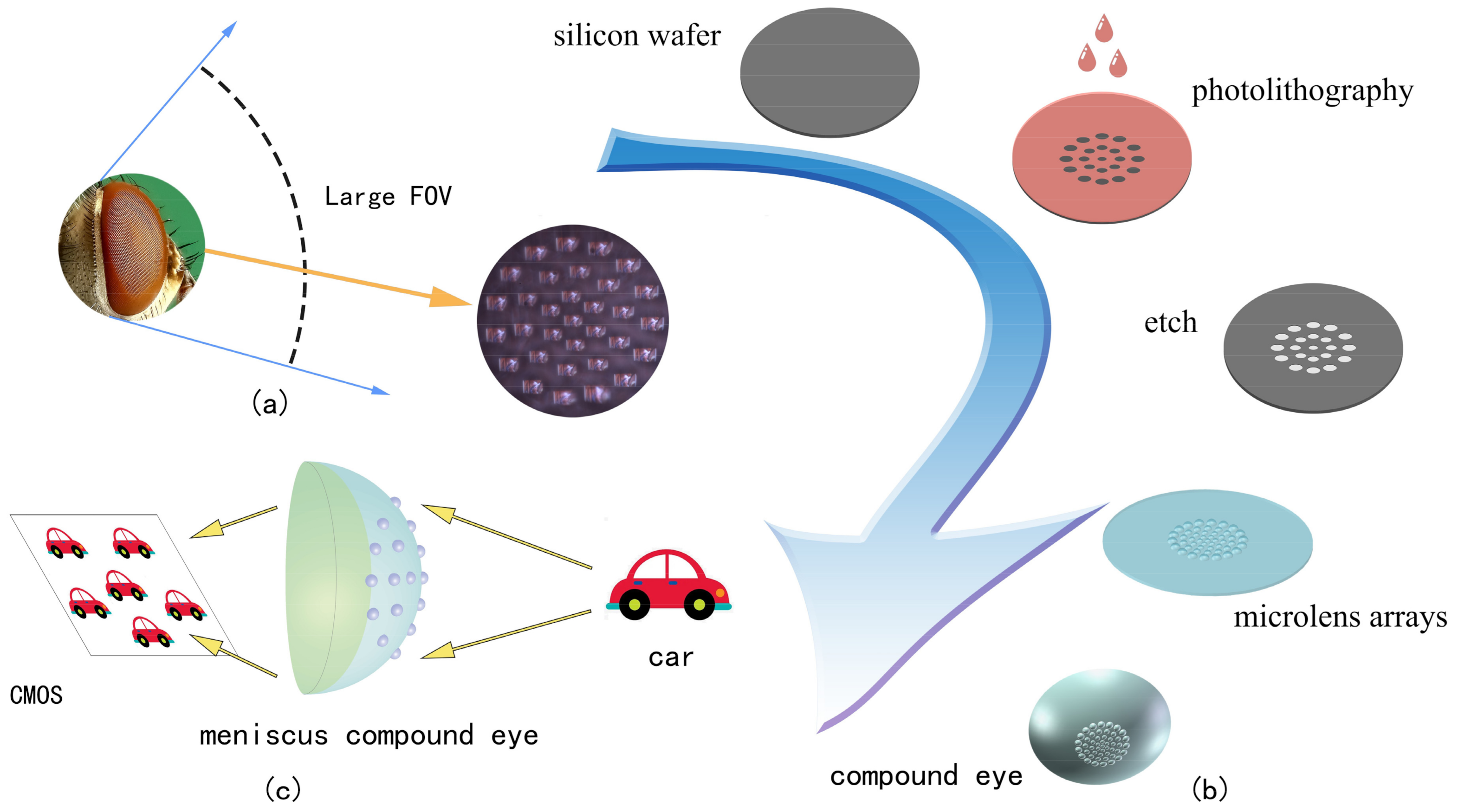 Micromachines 14 00420 g001