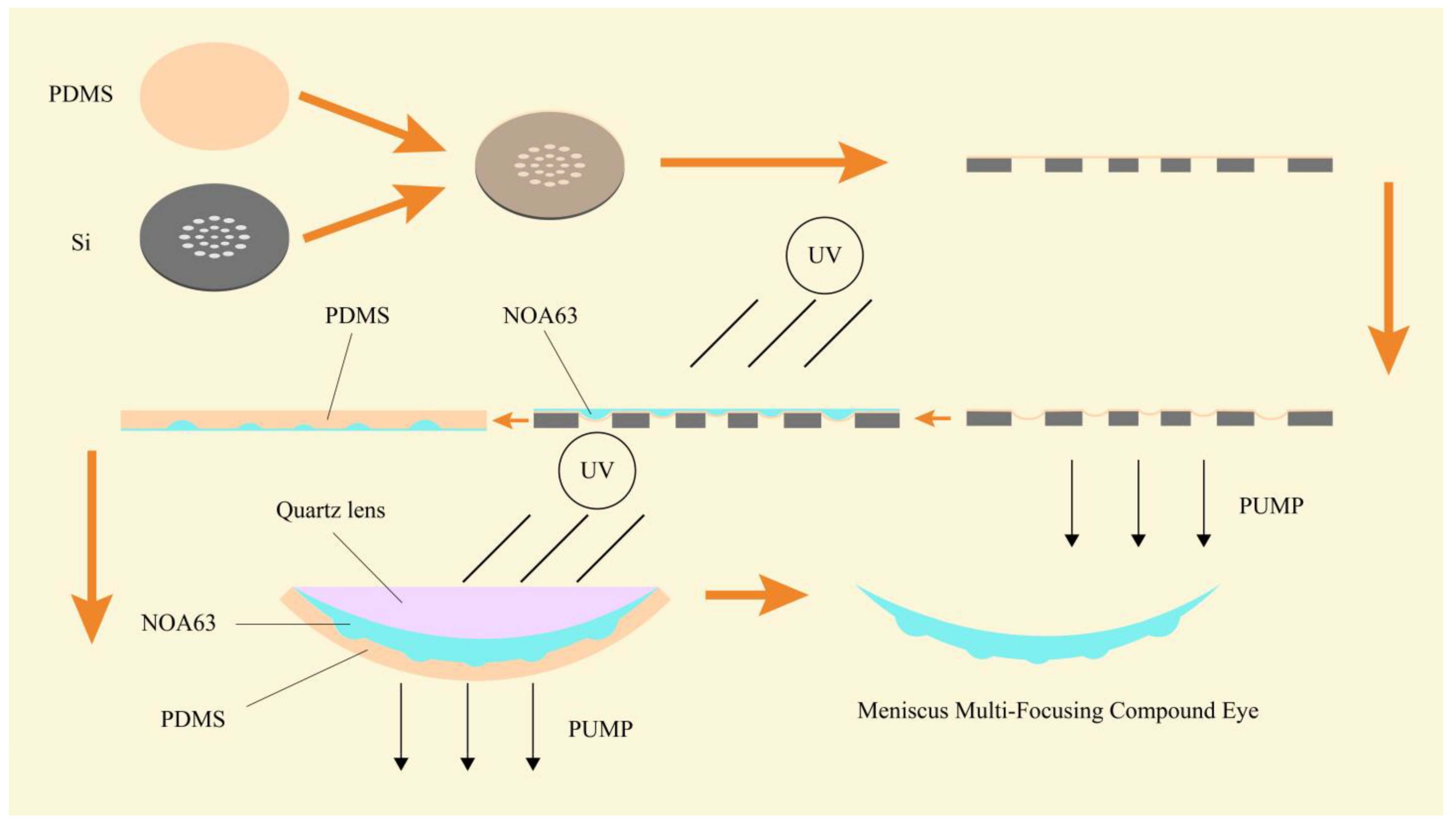 Micromachines 14 00420 g005