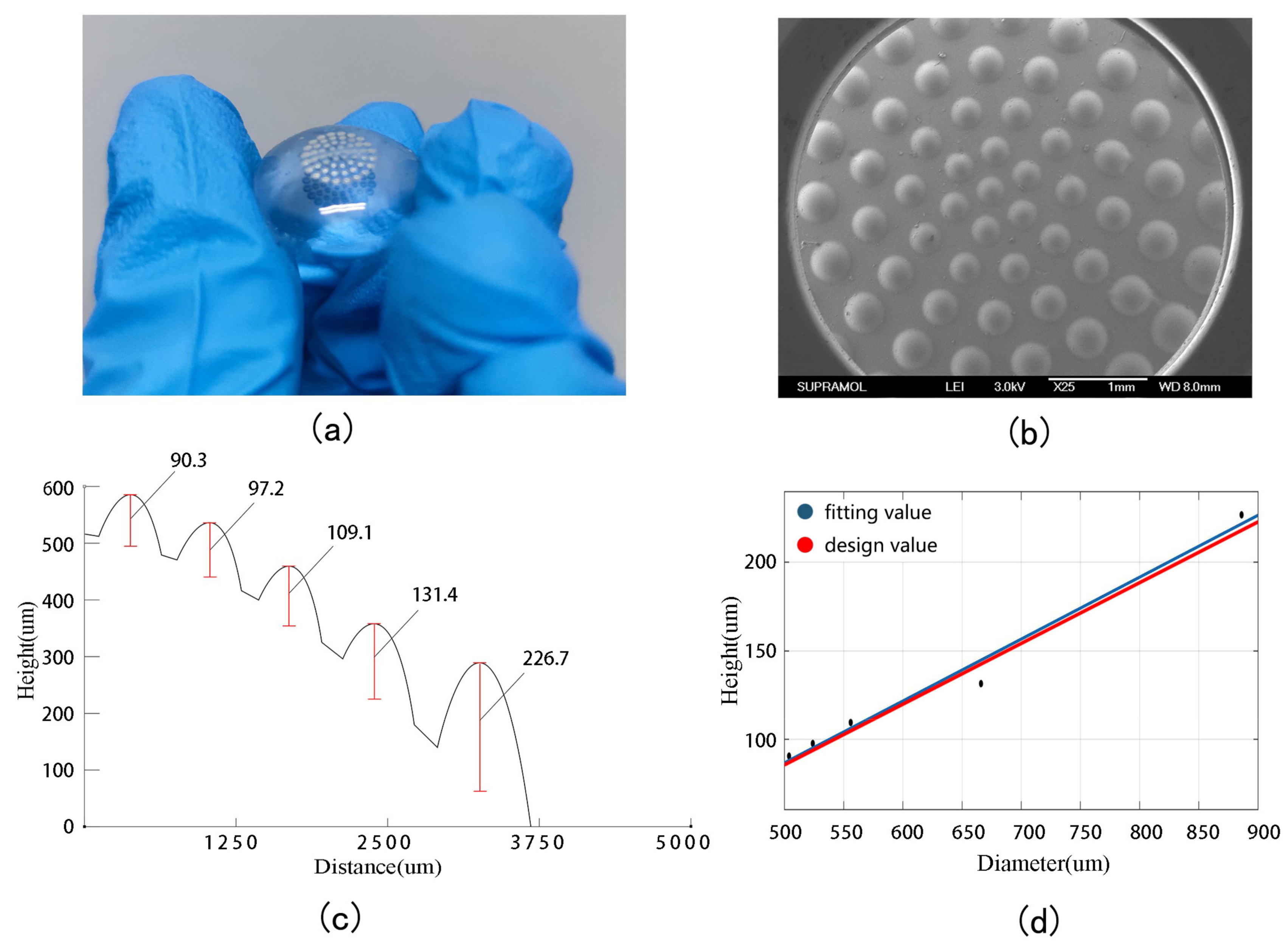 Micromachines 14 00420 g006