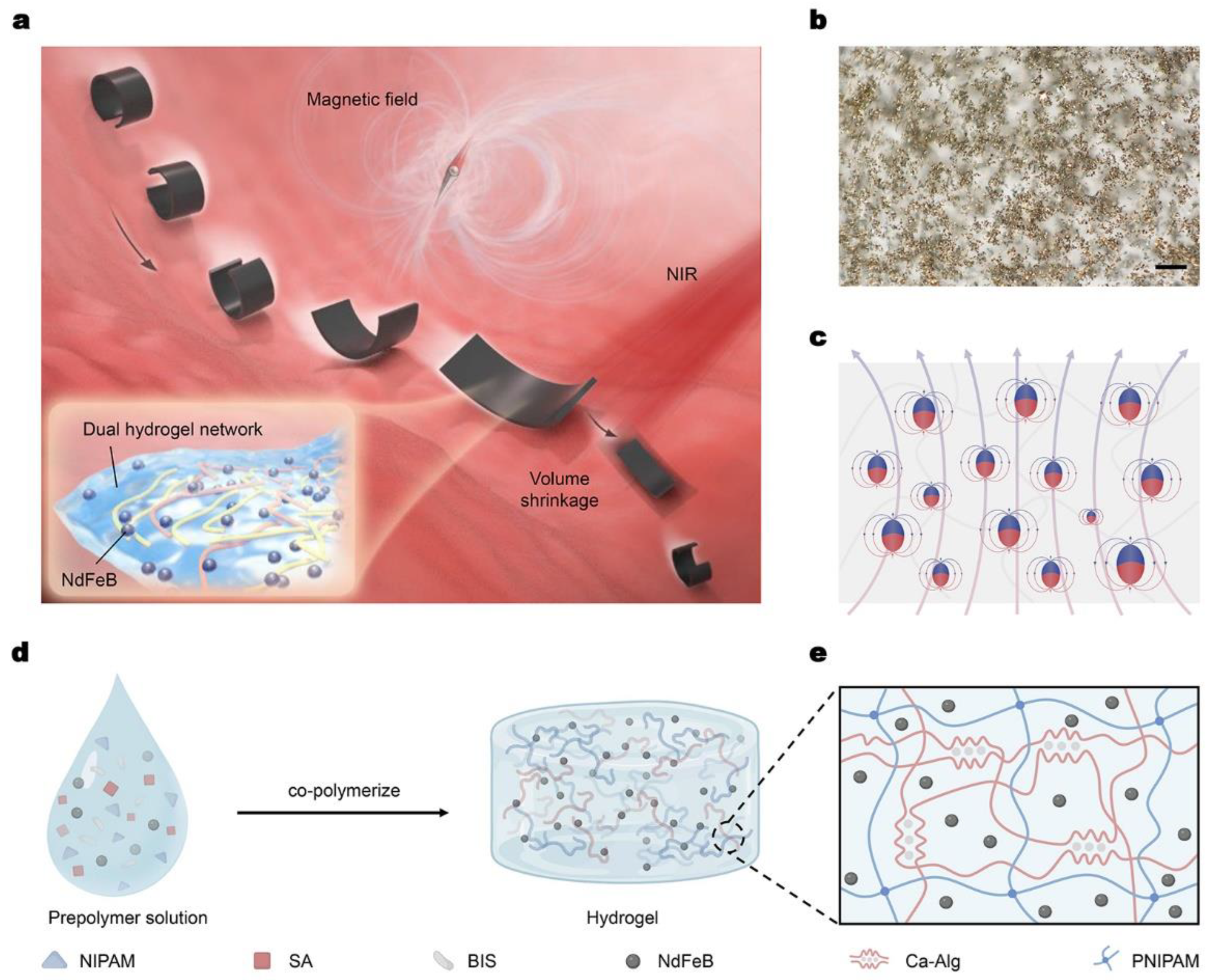 Micromachines 14 00422 g001