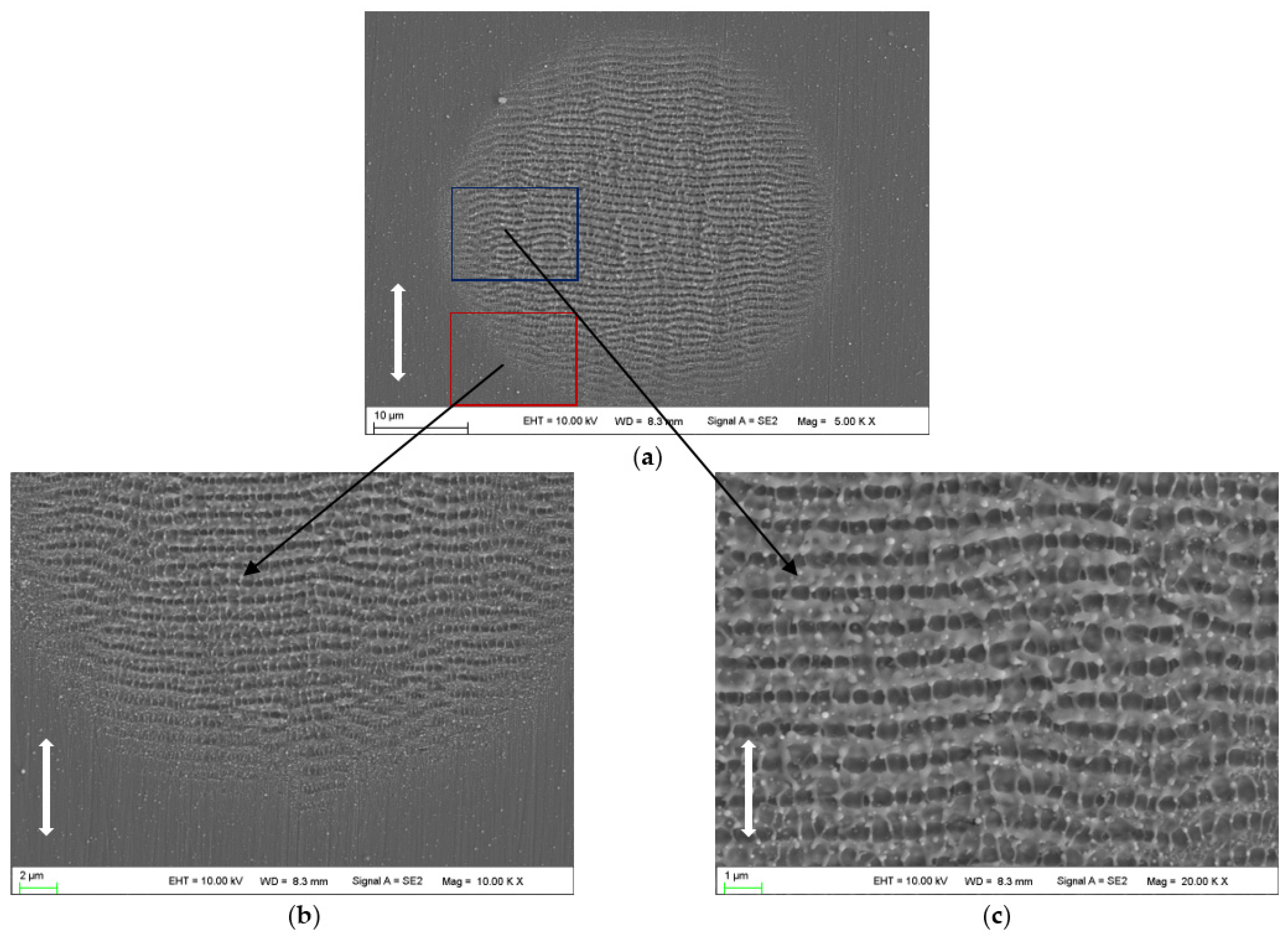 Micromachines 14 00428 g003 Micromachines 14 00428 g003