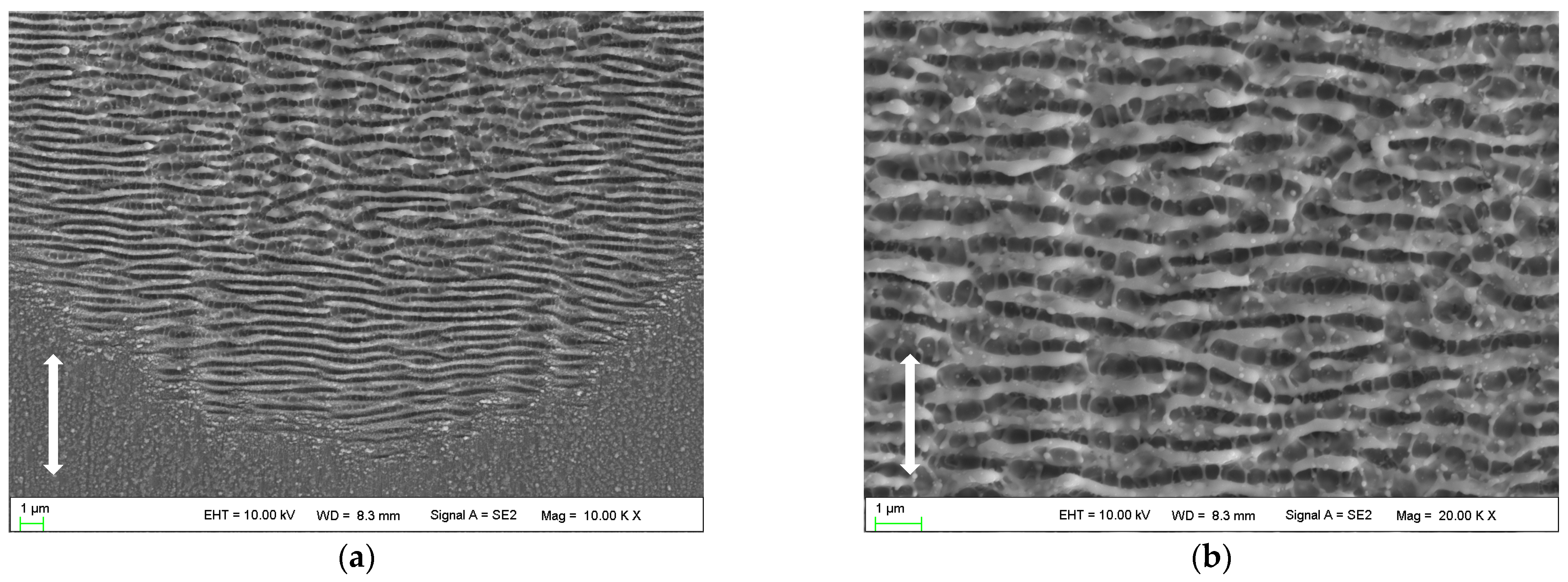 Micromachines 14 00428 g004 Micromachines 14 00428 g004