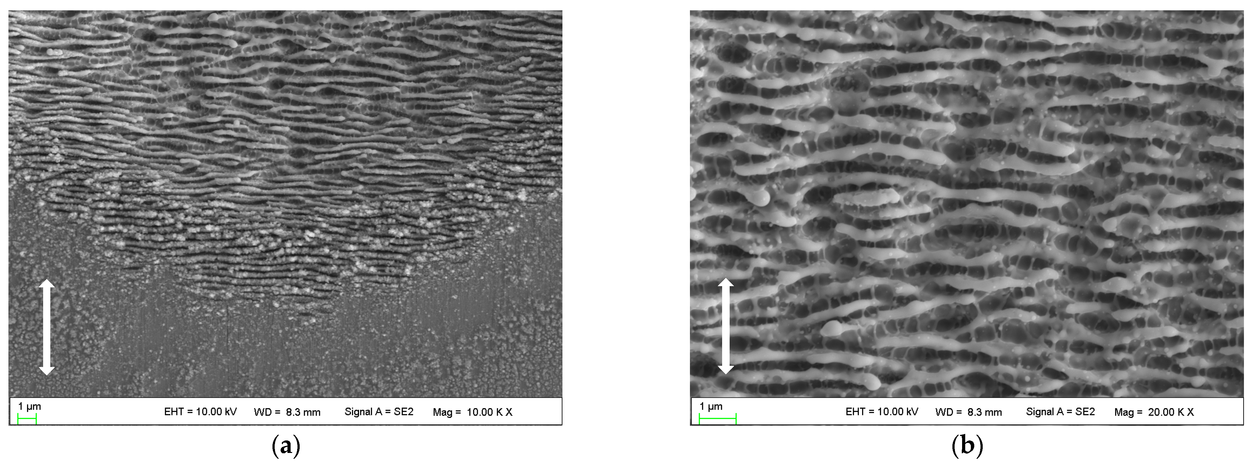Micromachines 14 00428 g005 Micromachines 14 00428 g005
