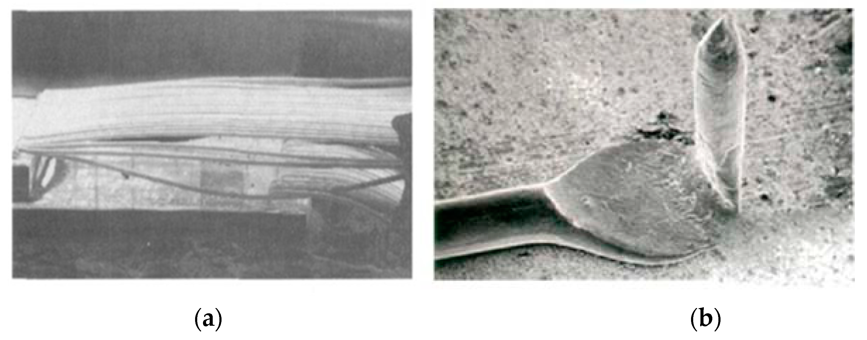 Micromachines 14 00432 g001