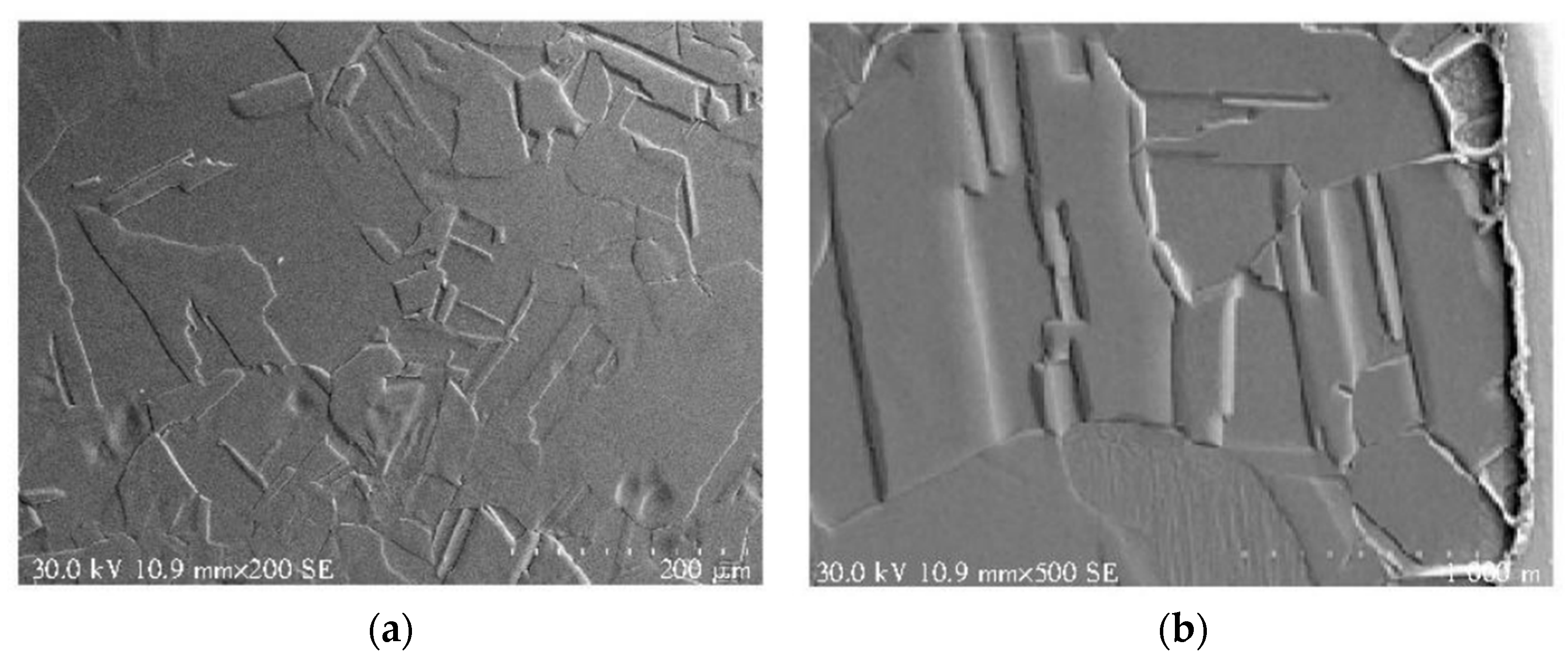 Micromachines 14 00432 g009