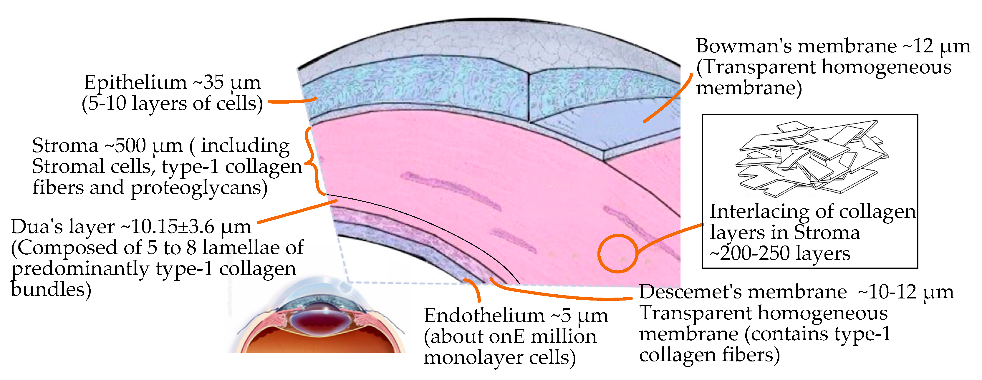 Micromachines 14 00438 g002