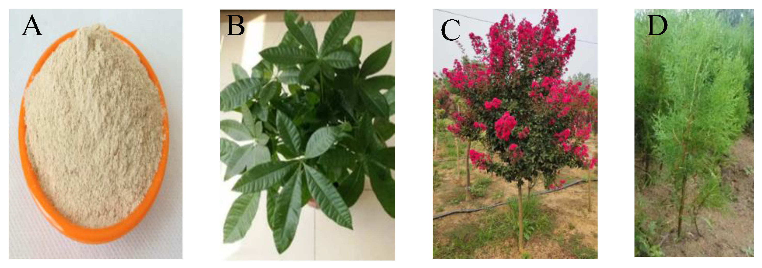 Micromachines 14 00440 g001