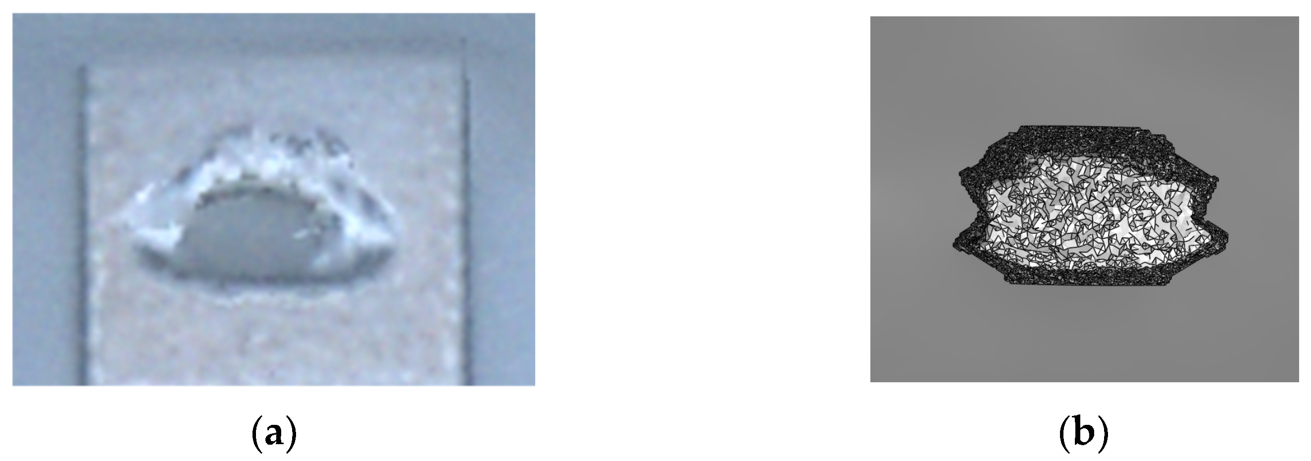 Micromachines 14 00443 g006